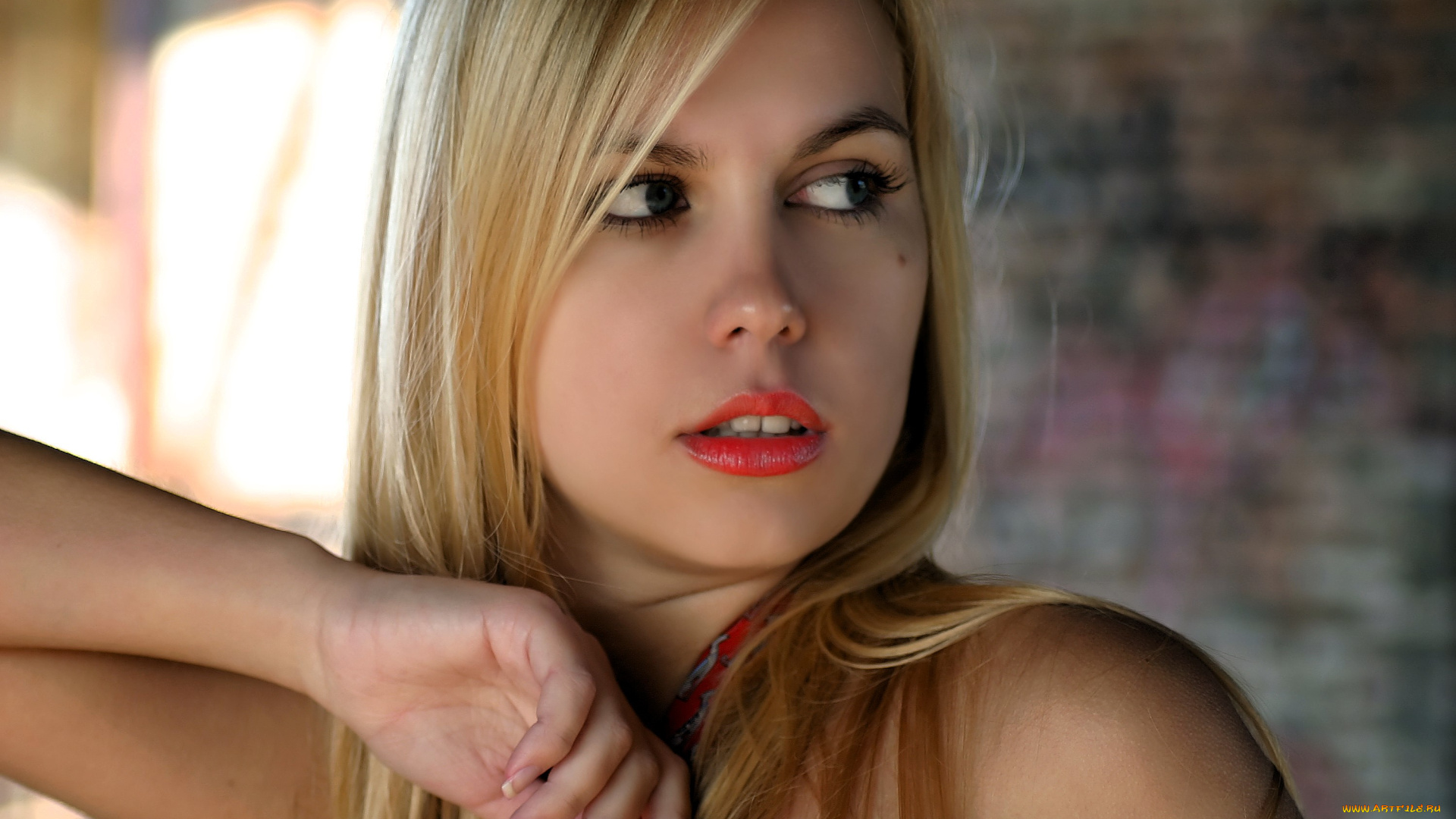 девушки, -, лица, , портреты, блондинка, лицо