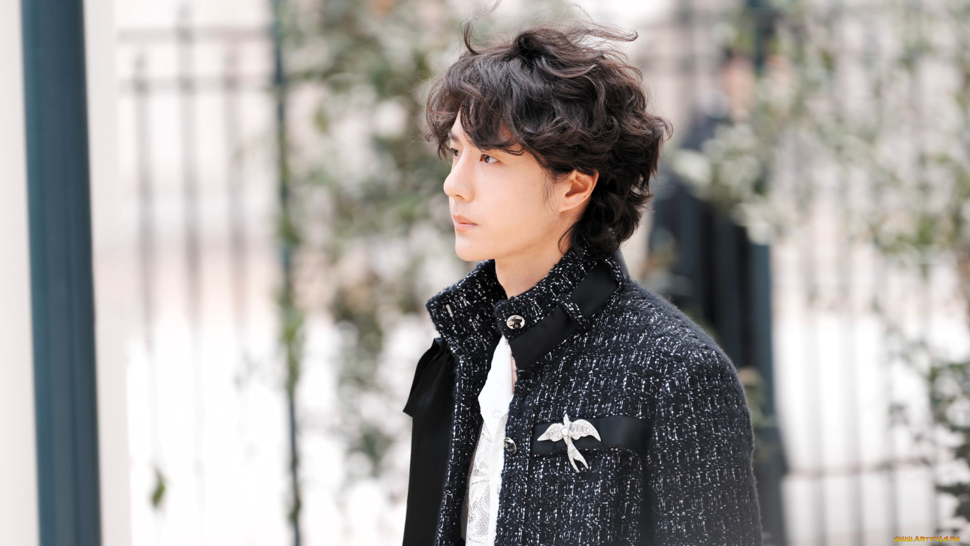 мужчины, wang, yi, bo, актер, кудри, пальто, брошь