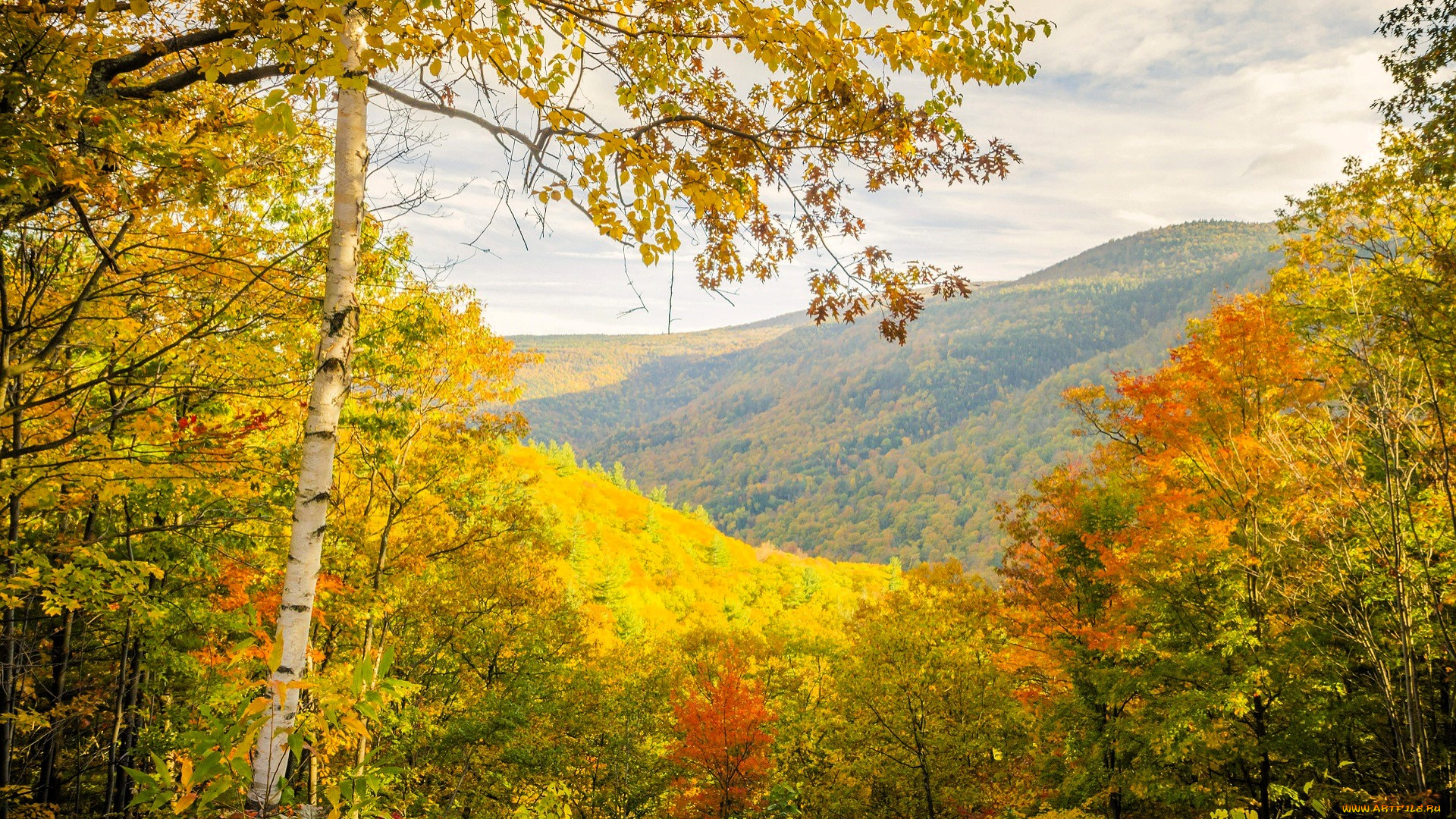 природа, горы, лес, осень