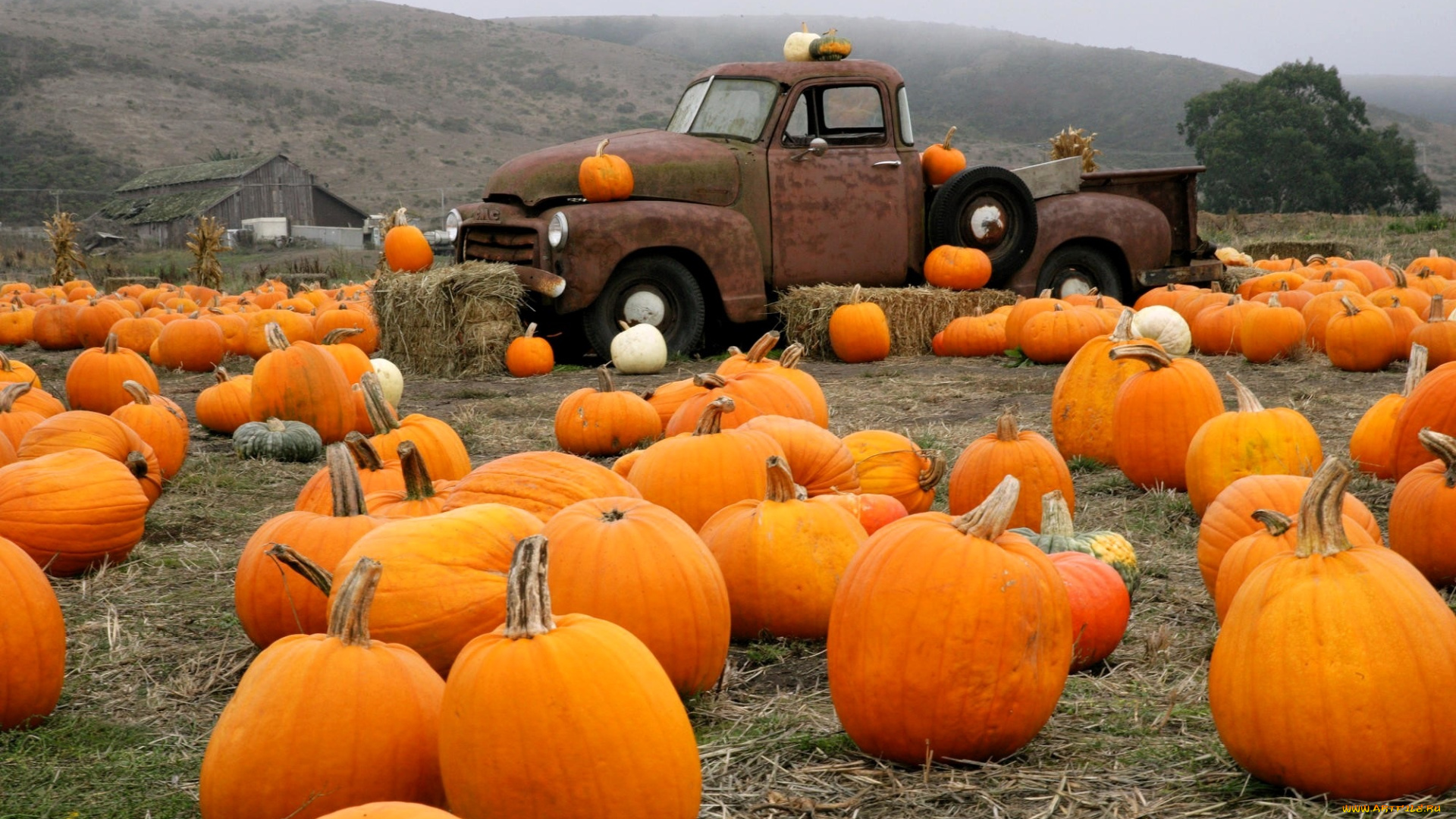 природа, плоды, горы, сено, тыквы, грузовик, машина, домик, деревья