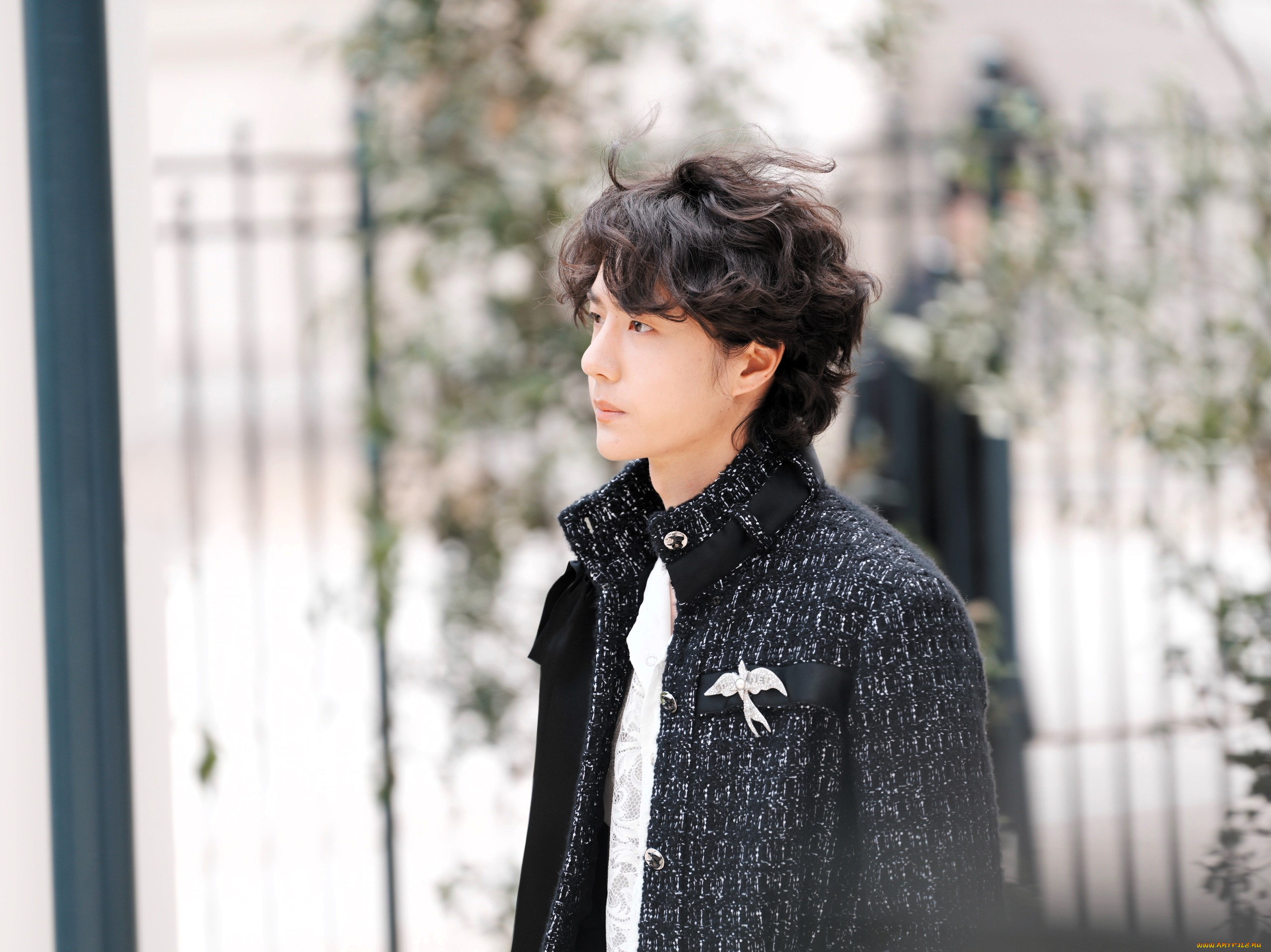 мужчины, wang, yi, bo, актер, кудри, пальто, брошь