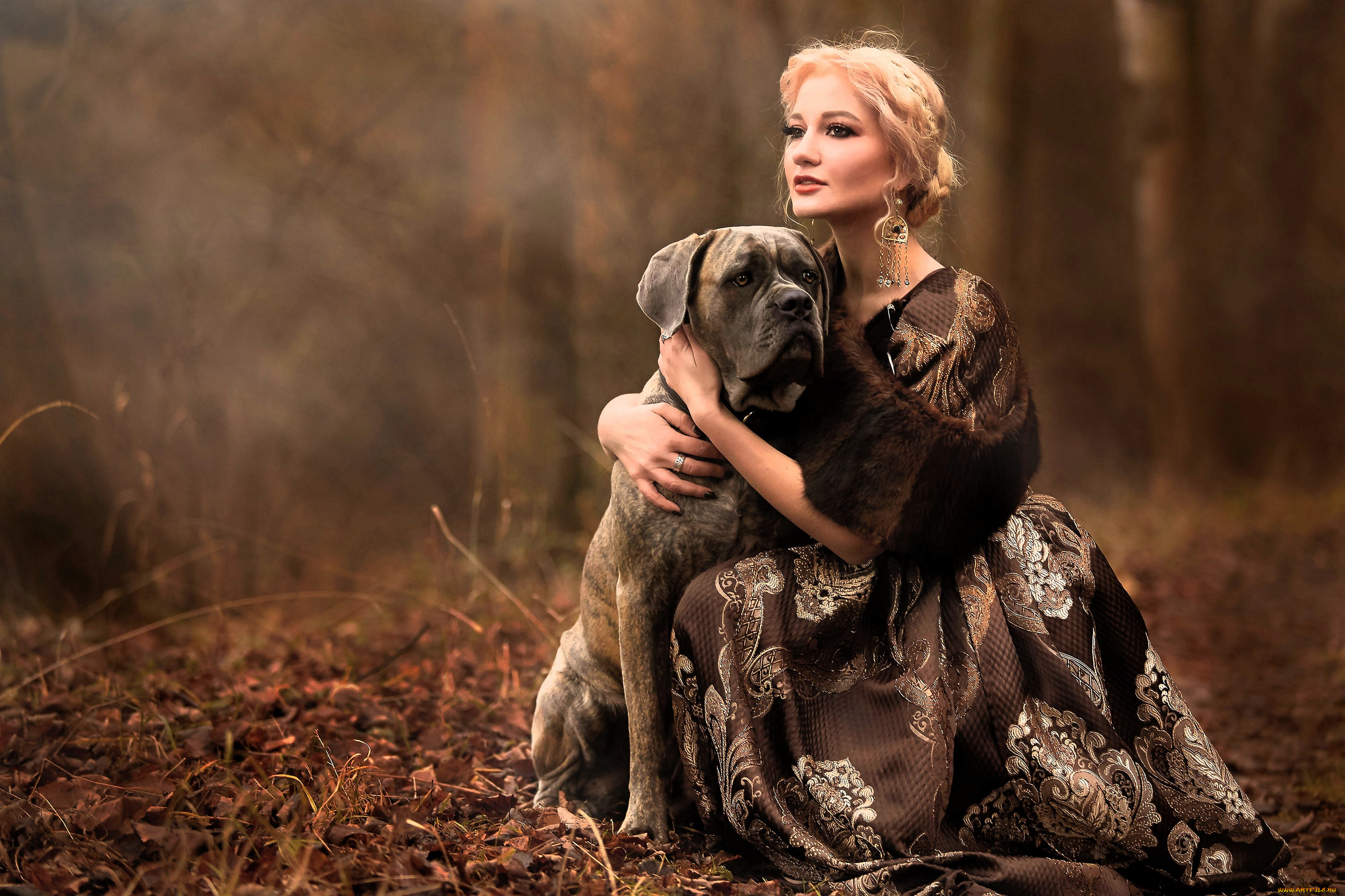 девушки, -, блондинки, , светловолосые, блондинка, платье, собака, лес, листья, осень