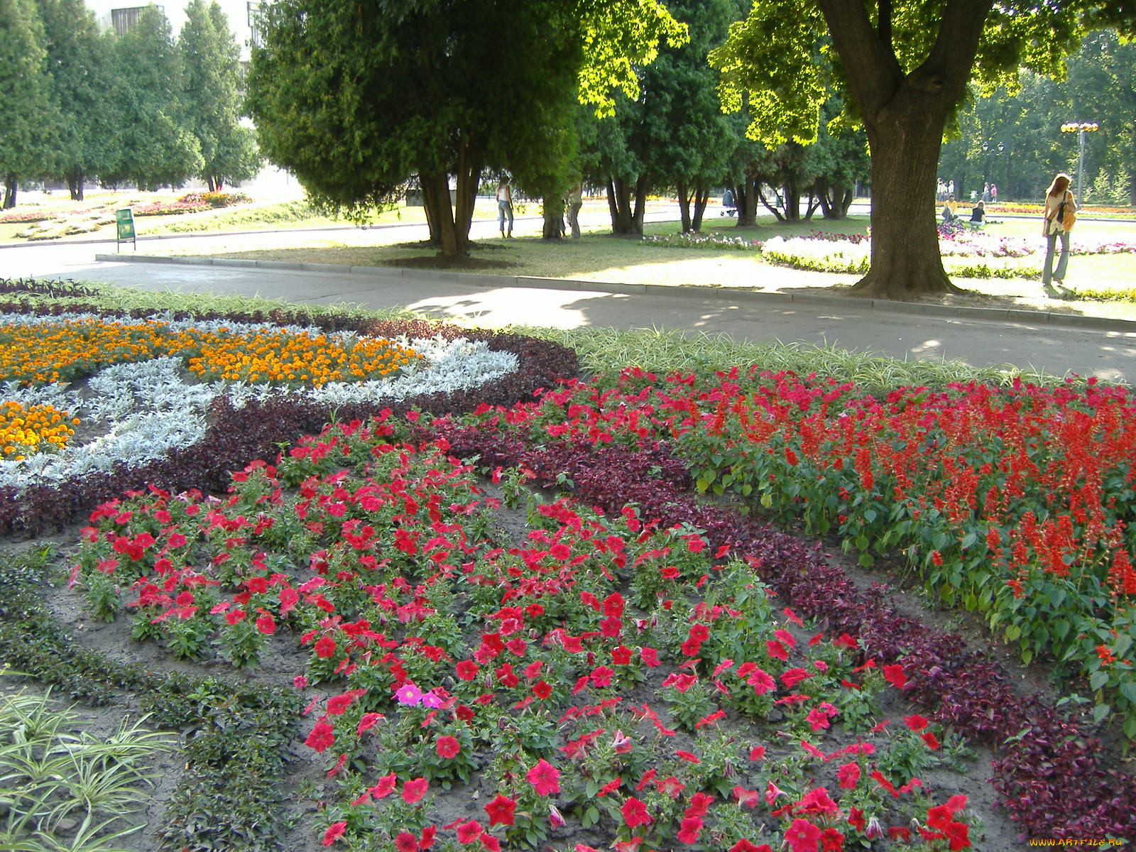 цветы, разные, вместе