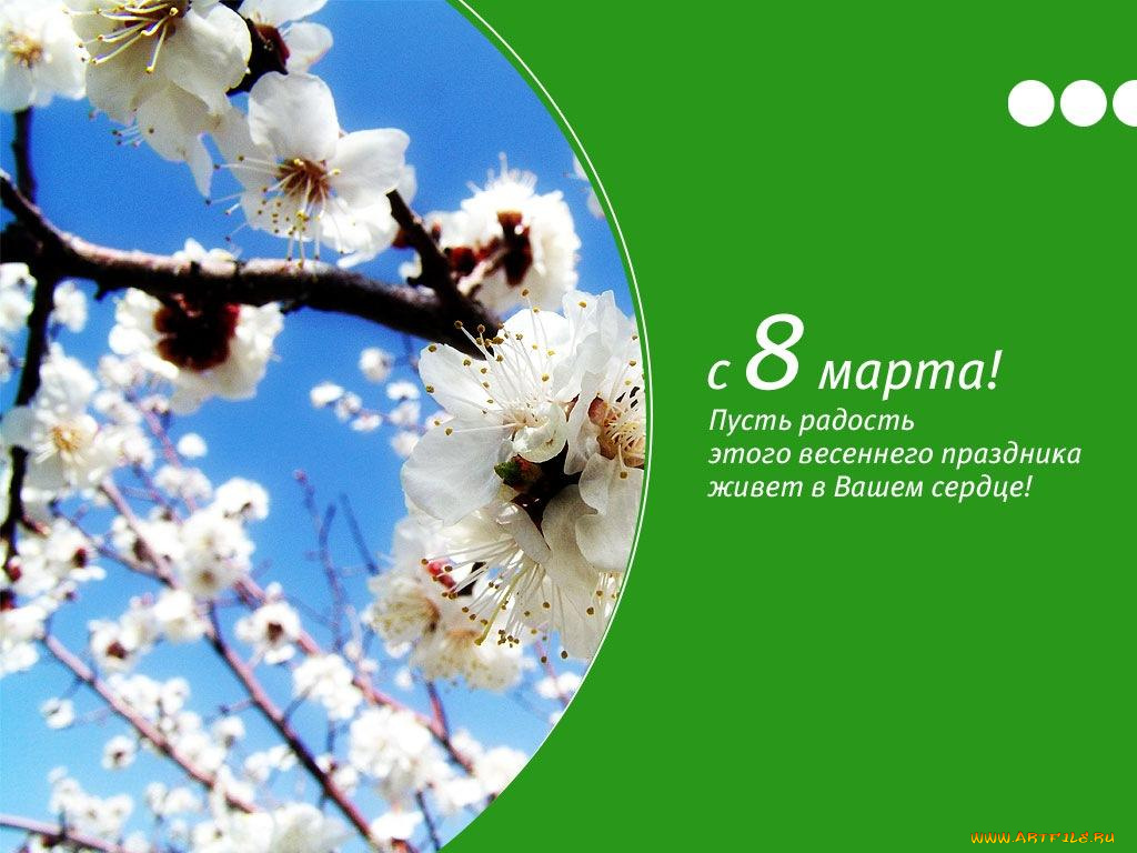 бренды, мегафон