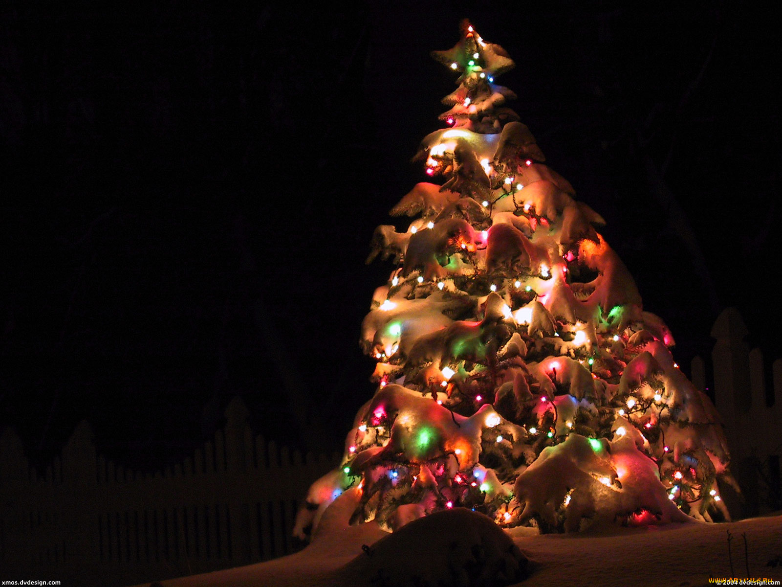 праздничные, Ёлки