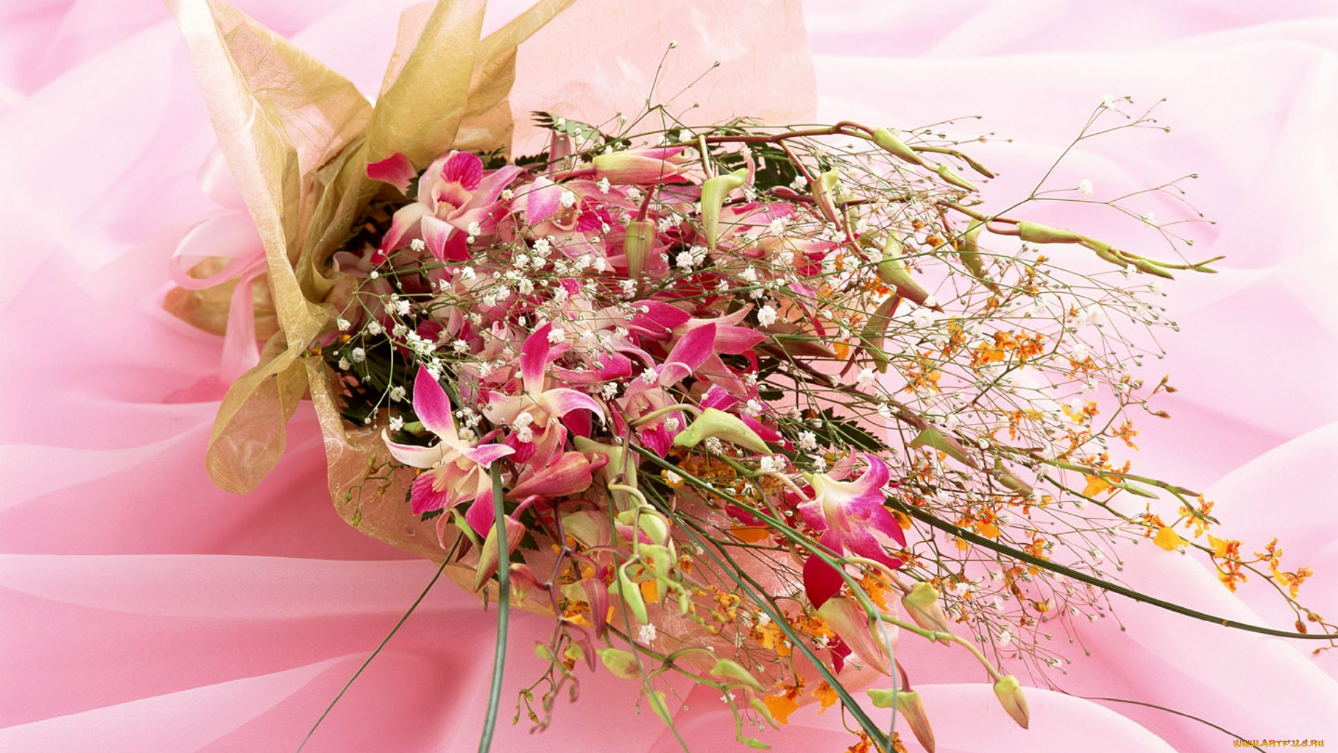 цветы, букеты, композиции