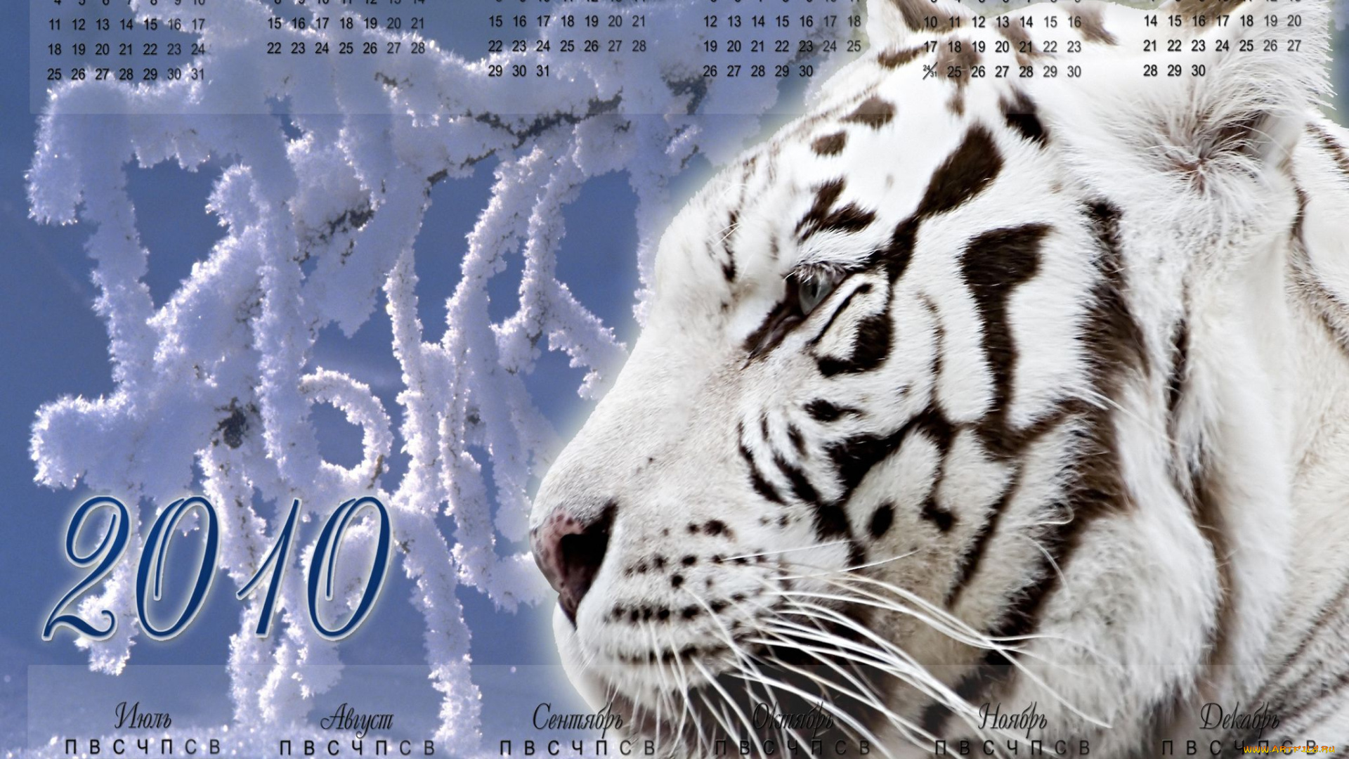 календари, животные