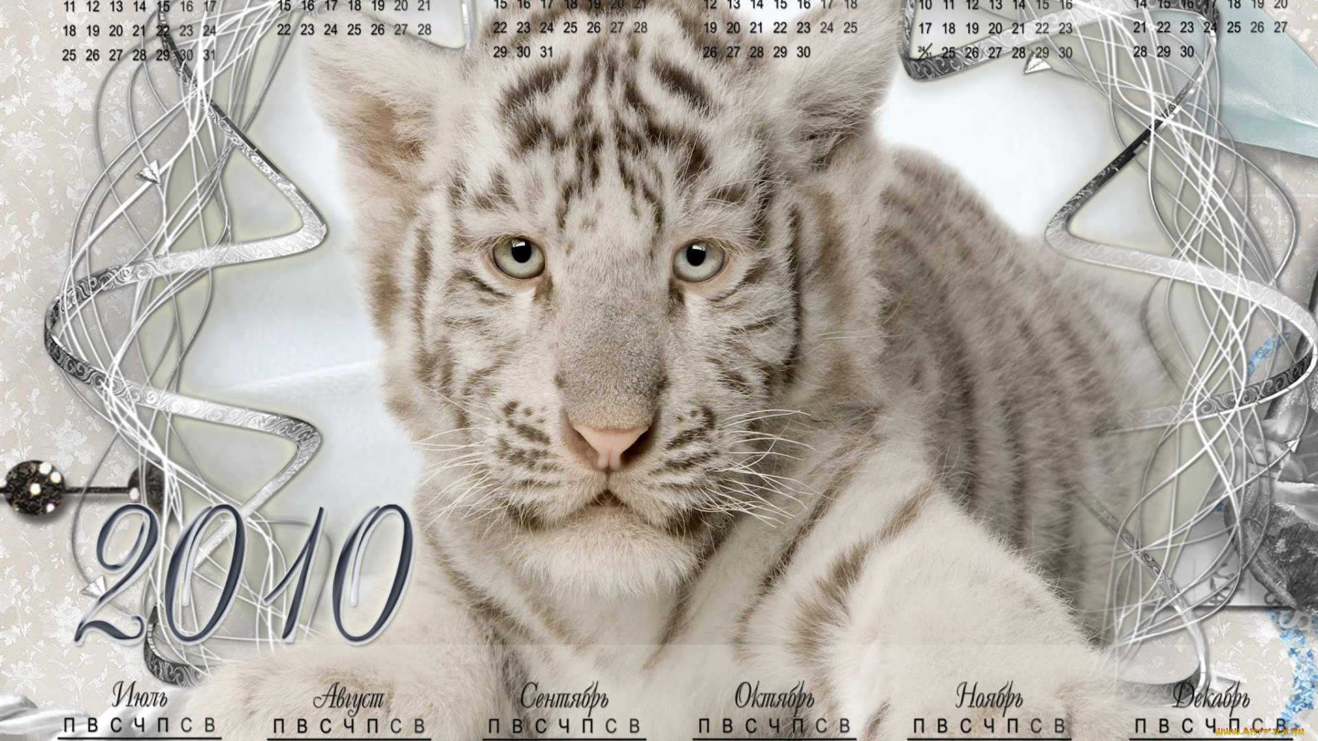 календари, животные