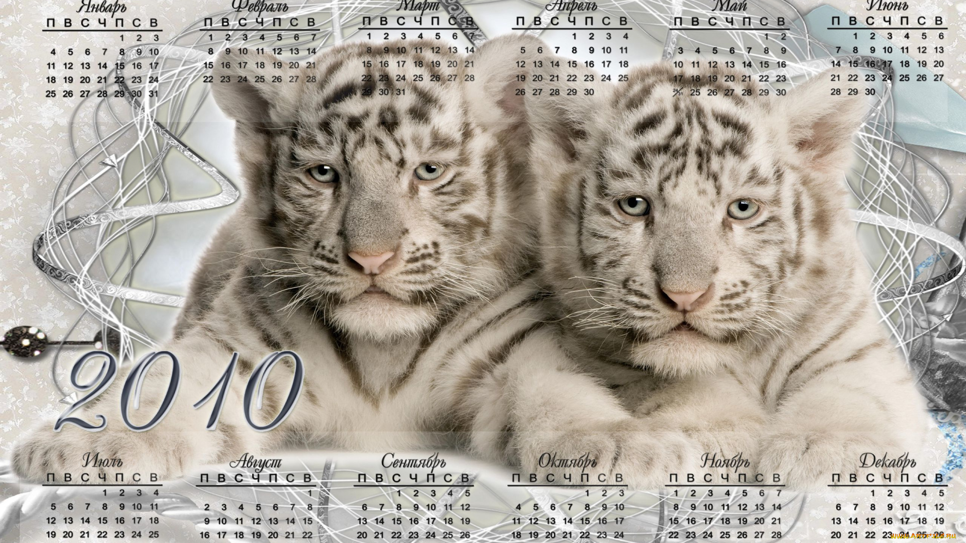 календари, животные