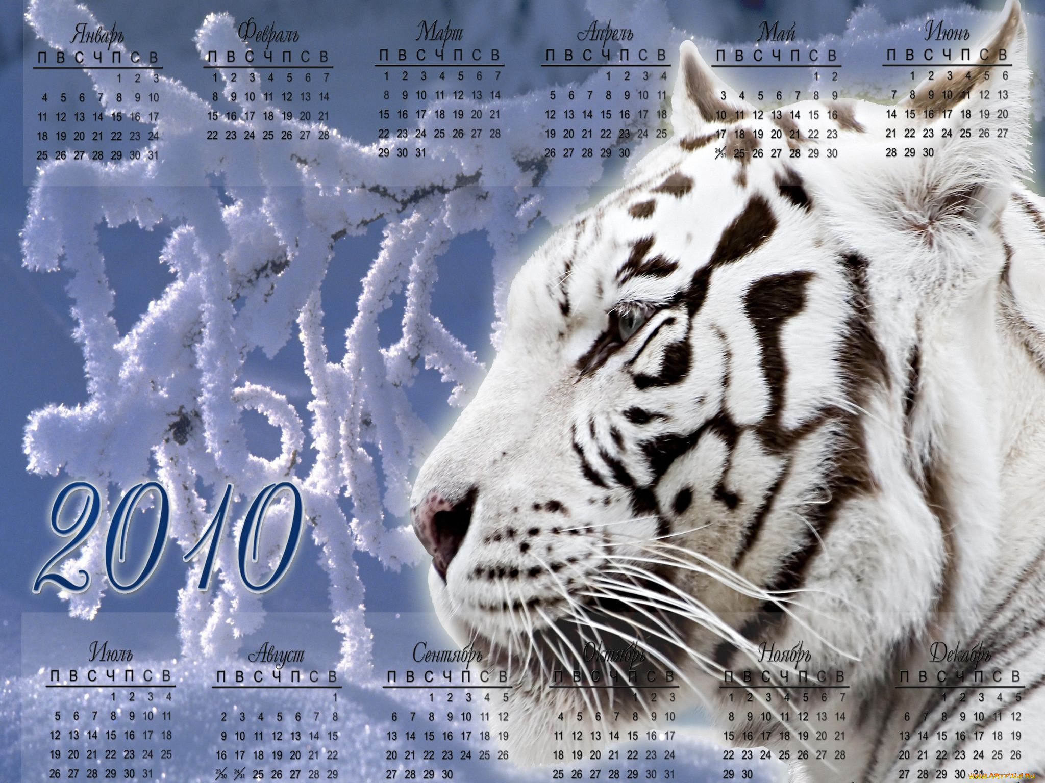 календари, животные