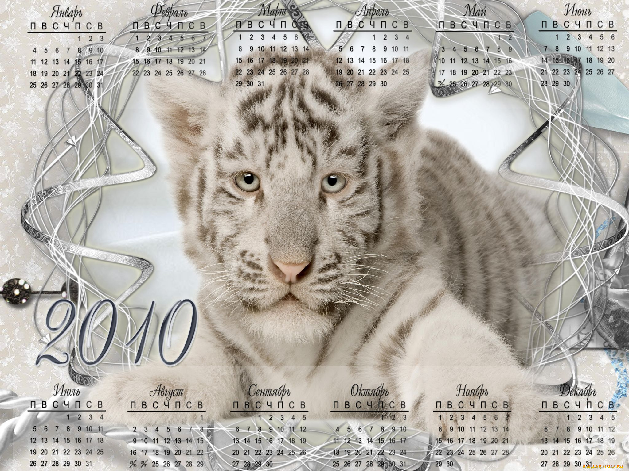 календари, животные