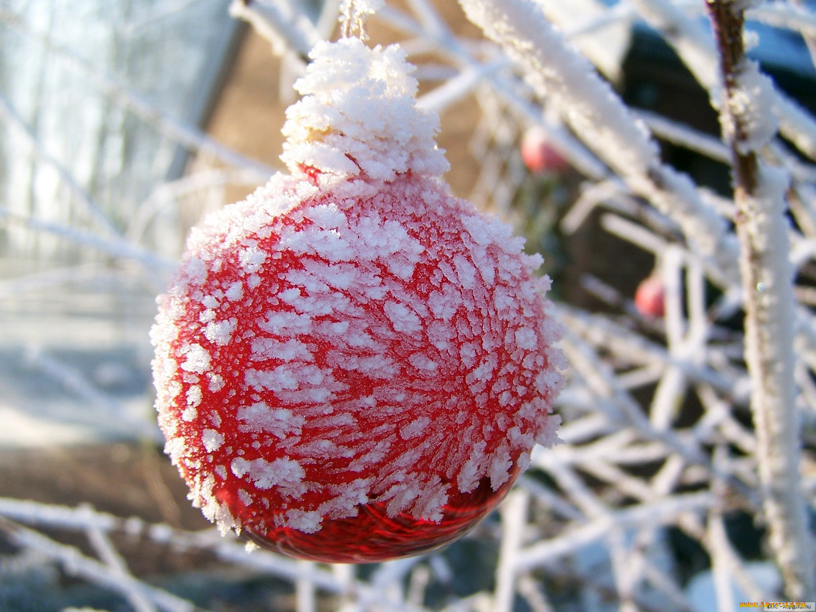 праздничные, шарики