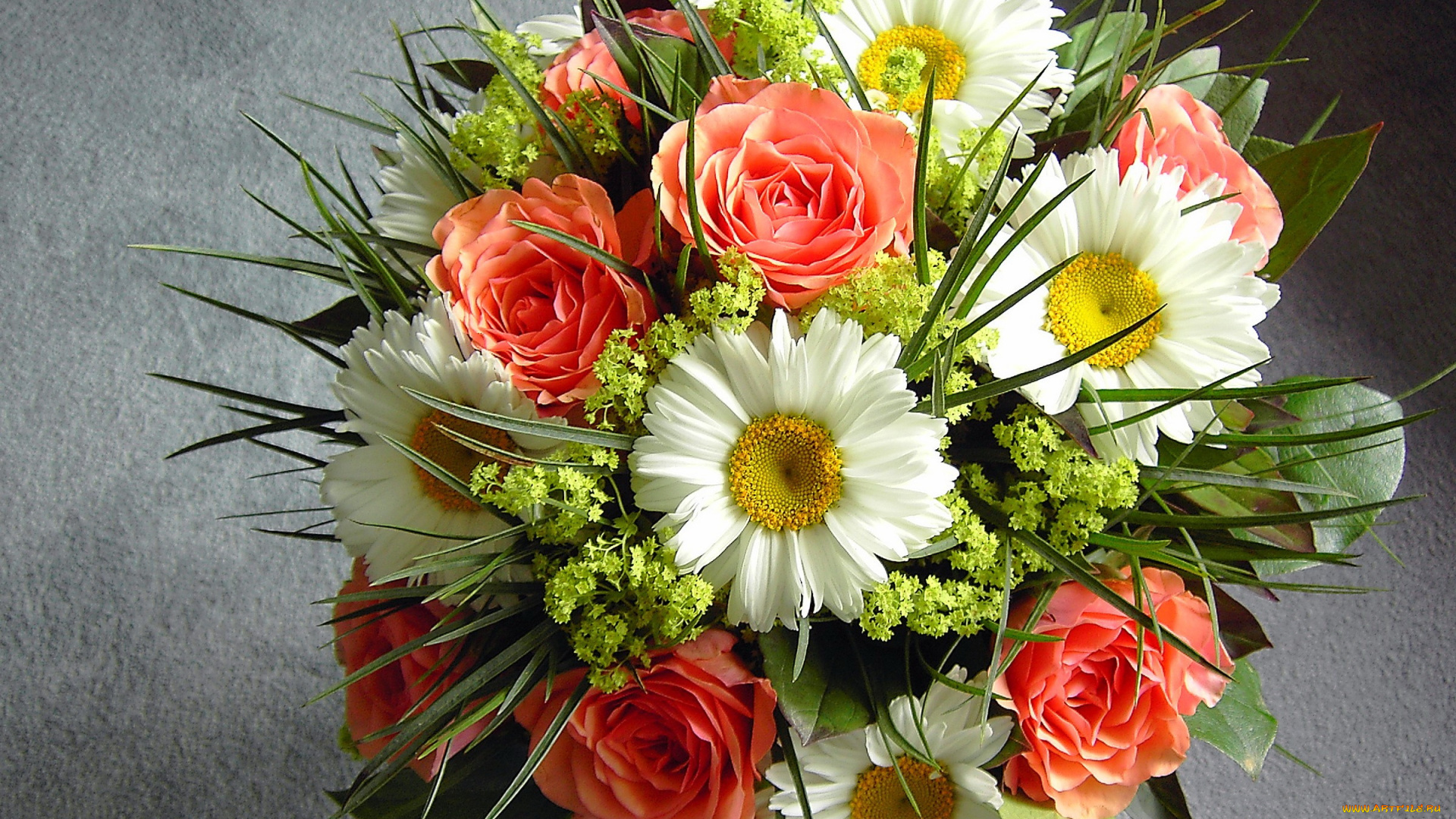 цветы, букеты, композиции, лепестки, много, розы, герберы