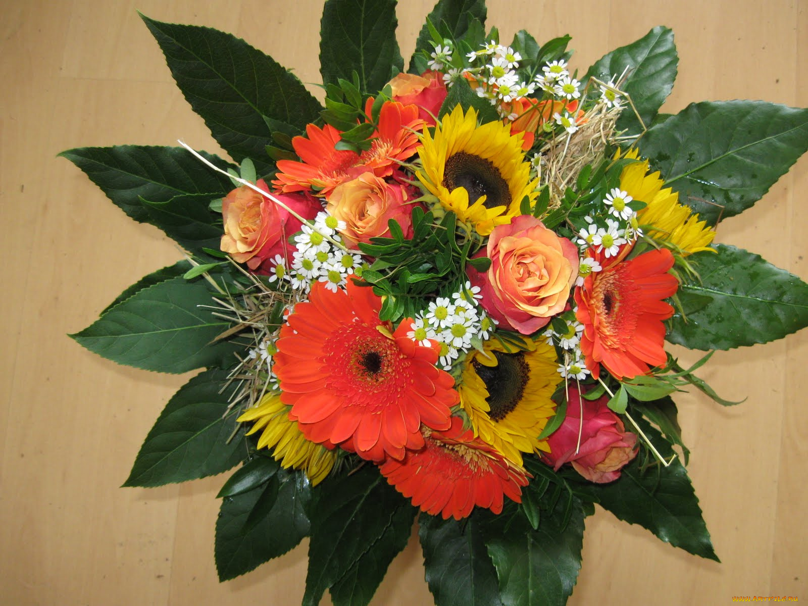 цветы, букеты, композиции, листья