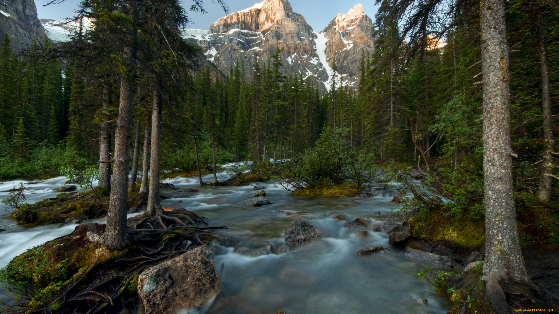 banff, national, park, canada, природа, реки, озера, канада, река, лес, деревья, горы
