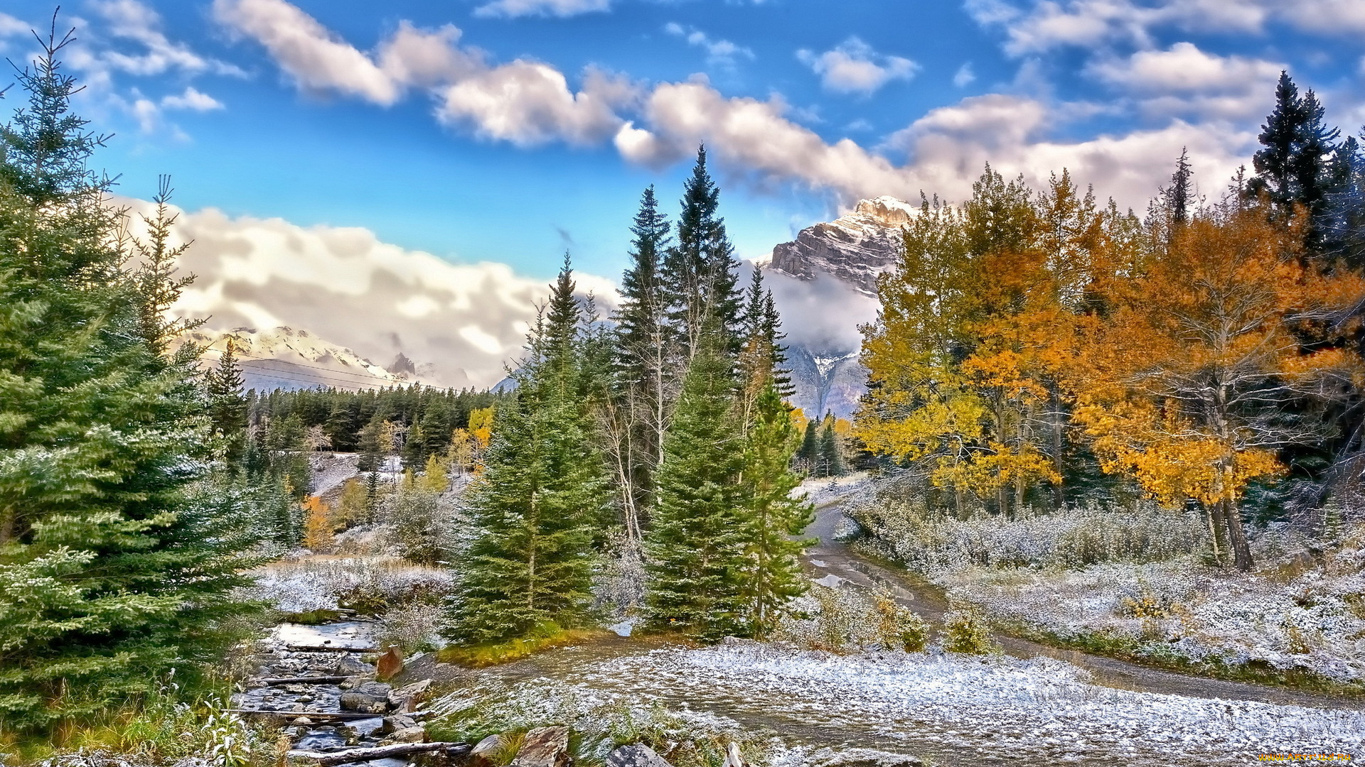 природа, пейзажи, ели, дорога, ручей, горы