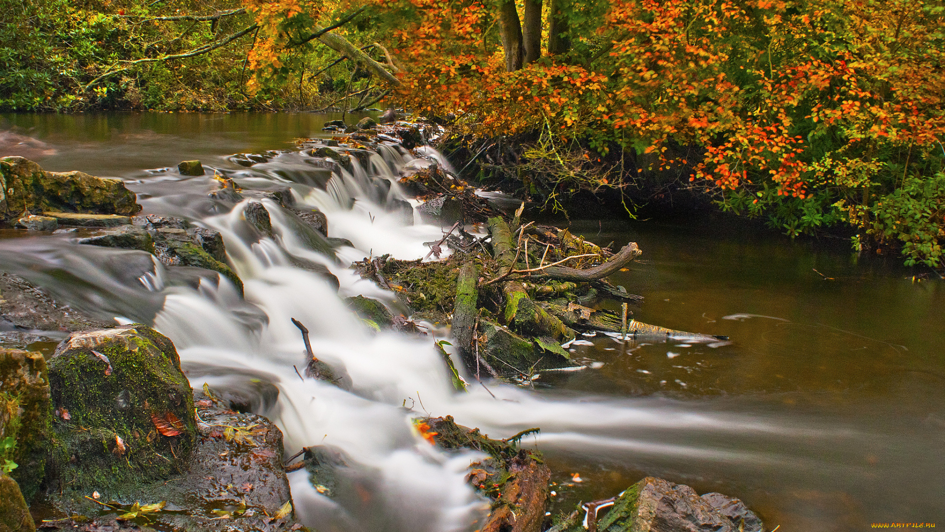 природа, реки, озера, лес, река, осень