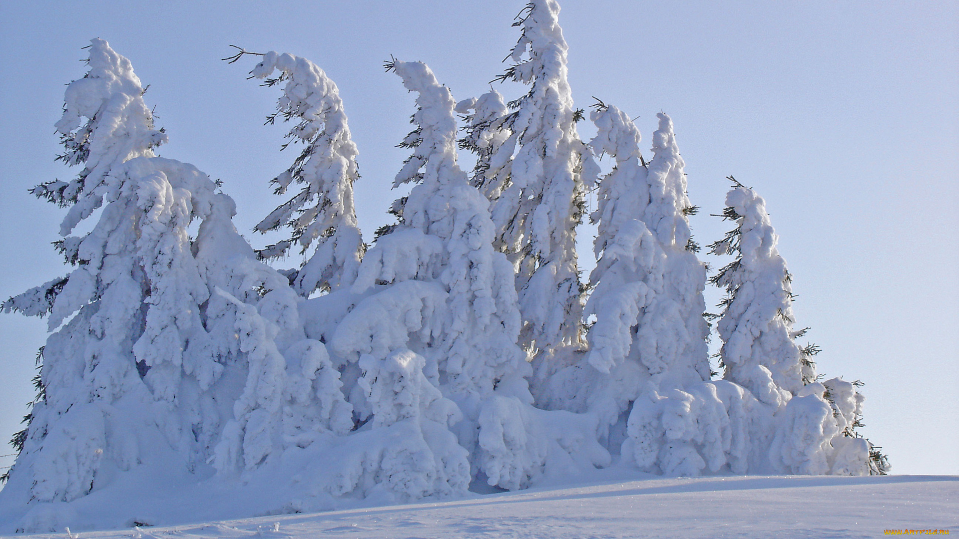 природа, зима, деревья, снег