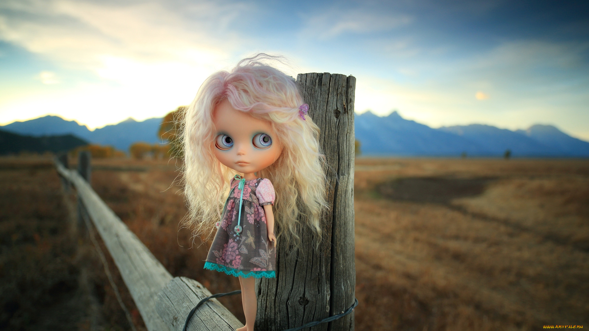 разное, игрушки, кукла