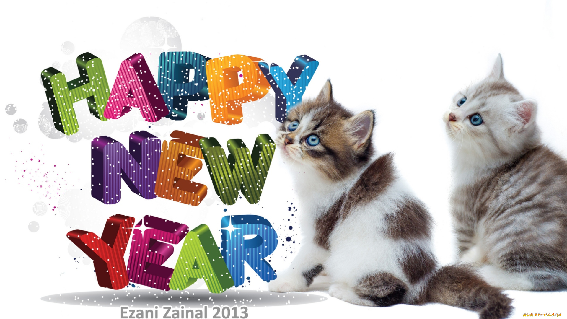 животные, коты, праздник, котята