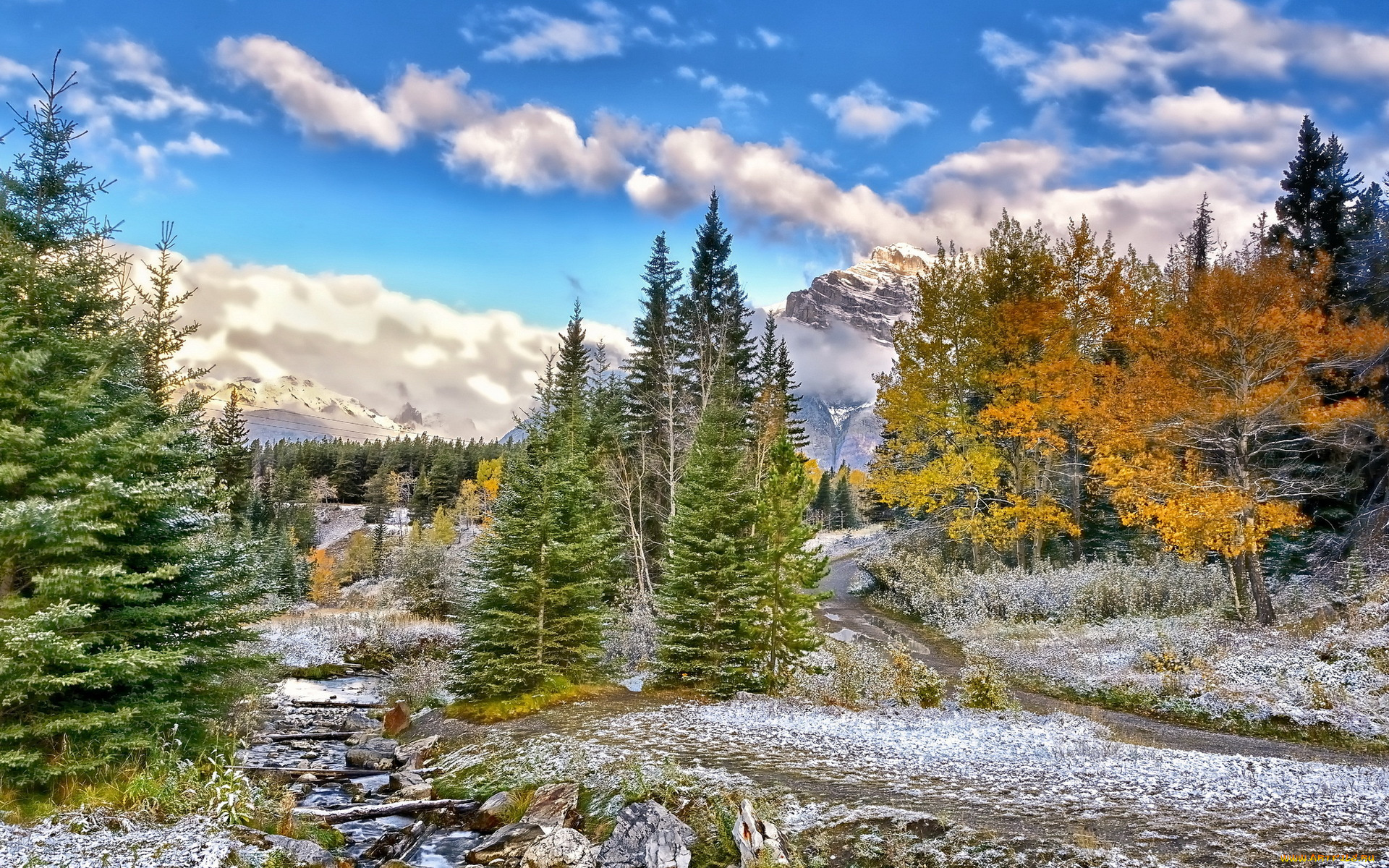 природа, пейзажи, ели, дорога, ручей, горы