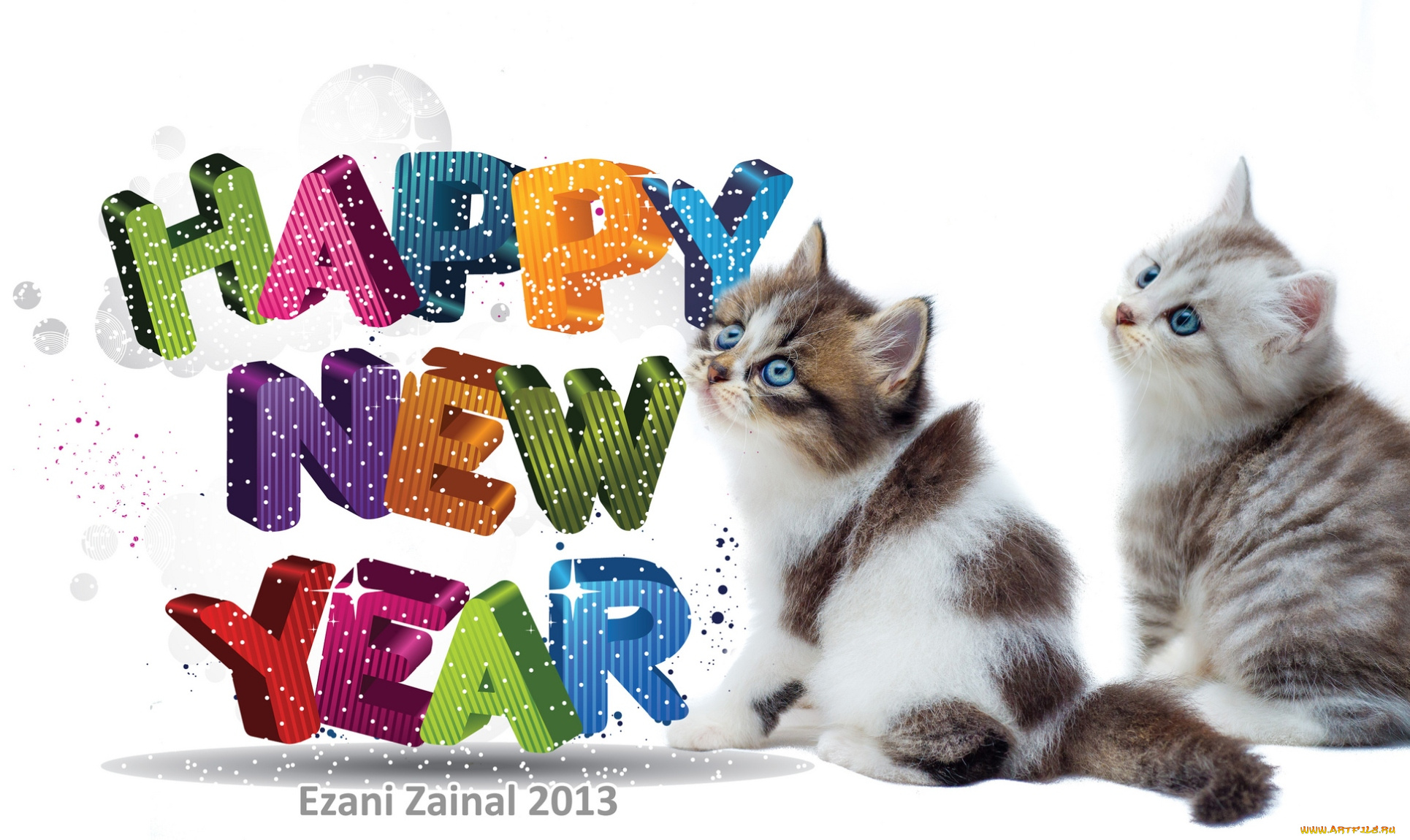 животные, коты, праздник, котята