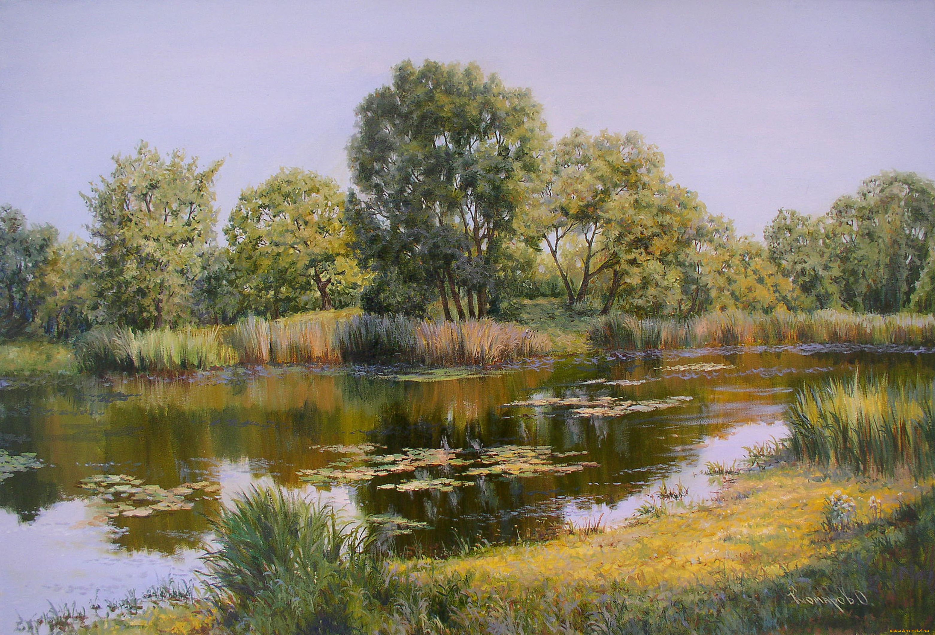 рисованные, олег, комаров, вода, ряска, отражение, берег, деревья, утро, на, реке