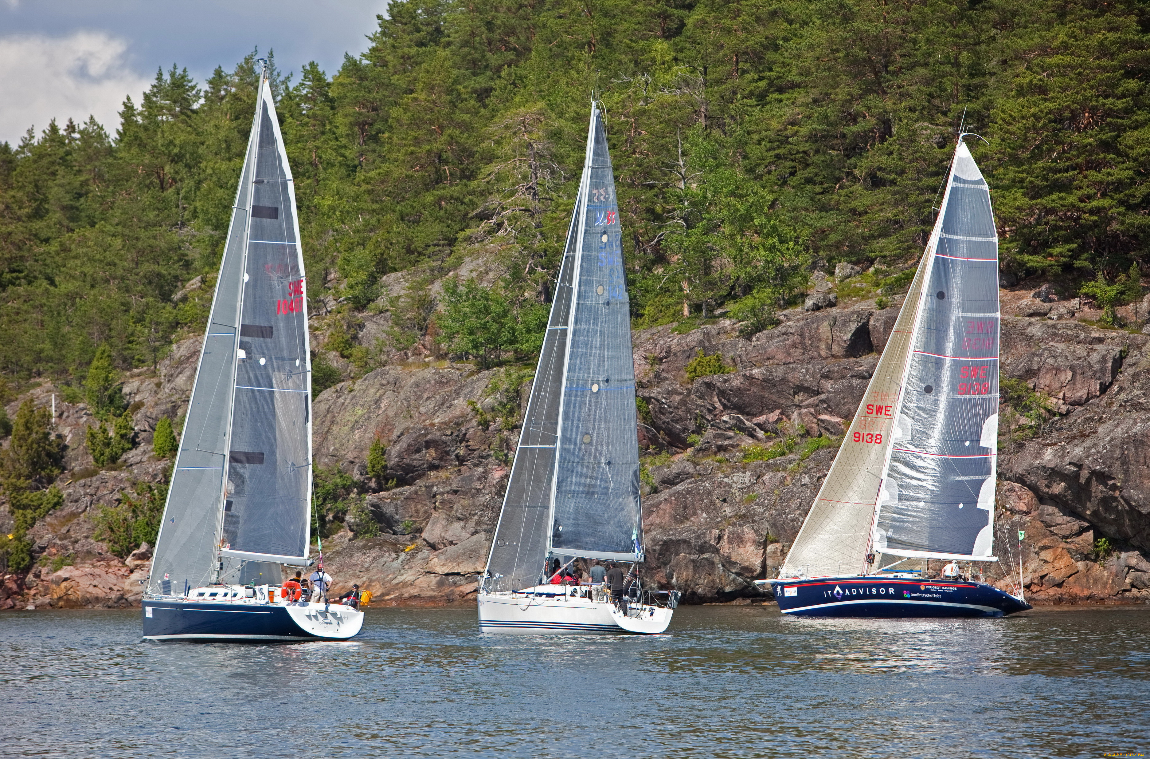 корабли, парусники, море, регата