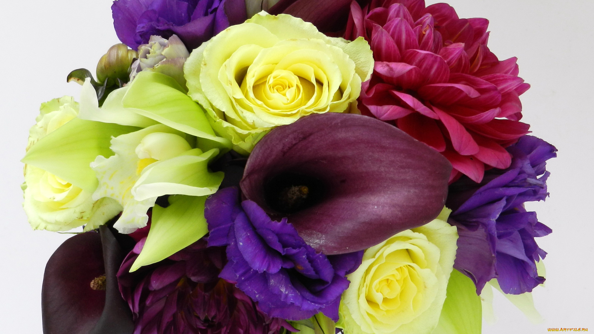 цветы, букеты, , композиции, розы, каллы, георгины, эустома, букет