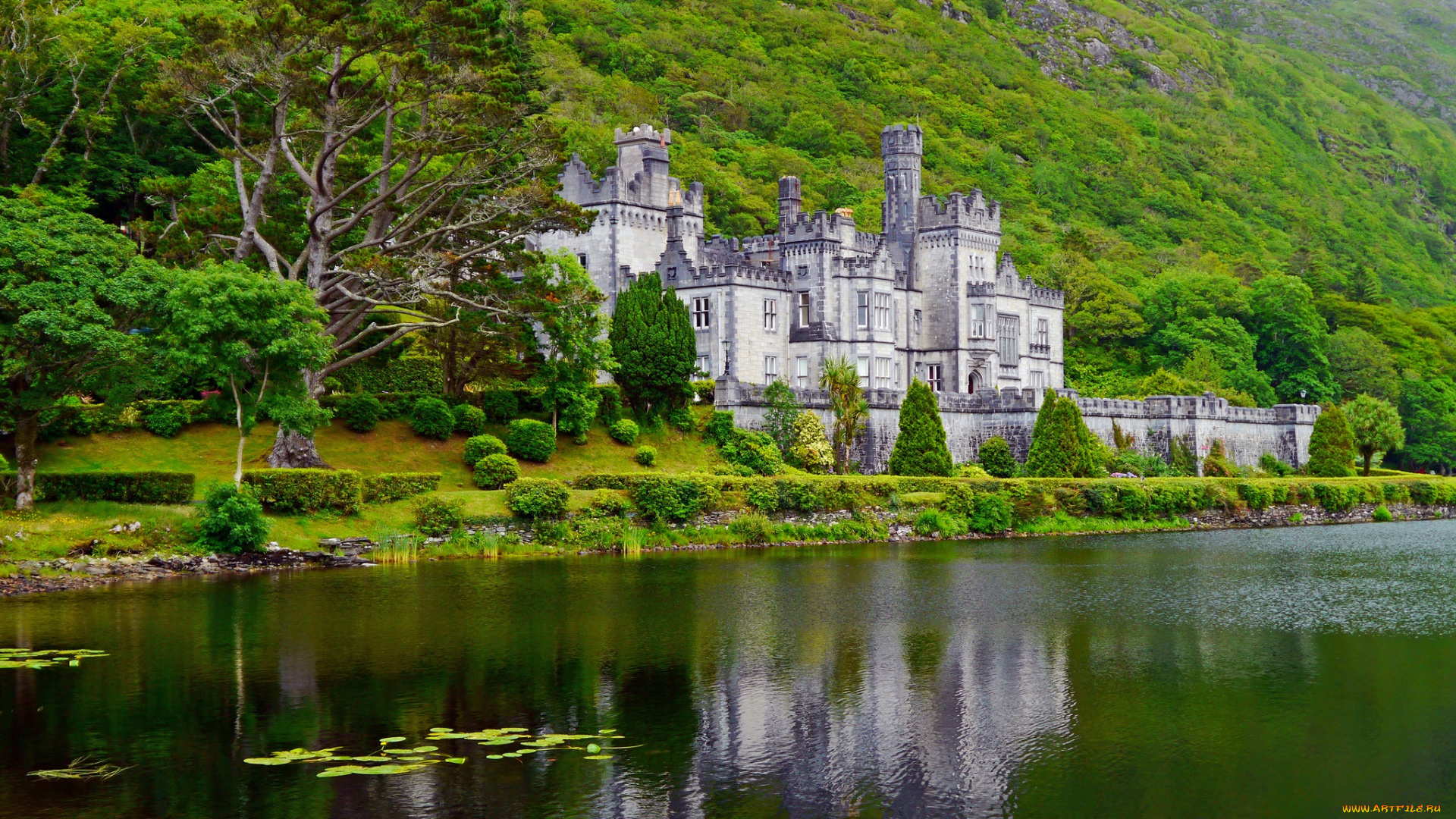 города, -, дворцы, , замки, , крепости, лес, река, горы, замок