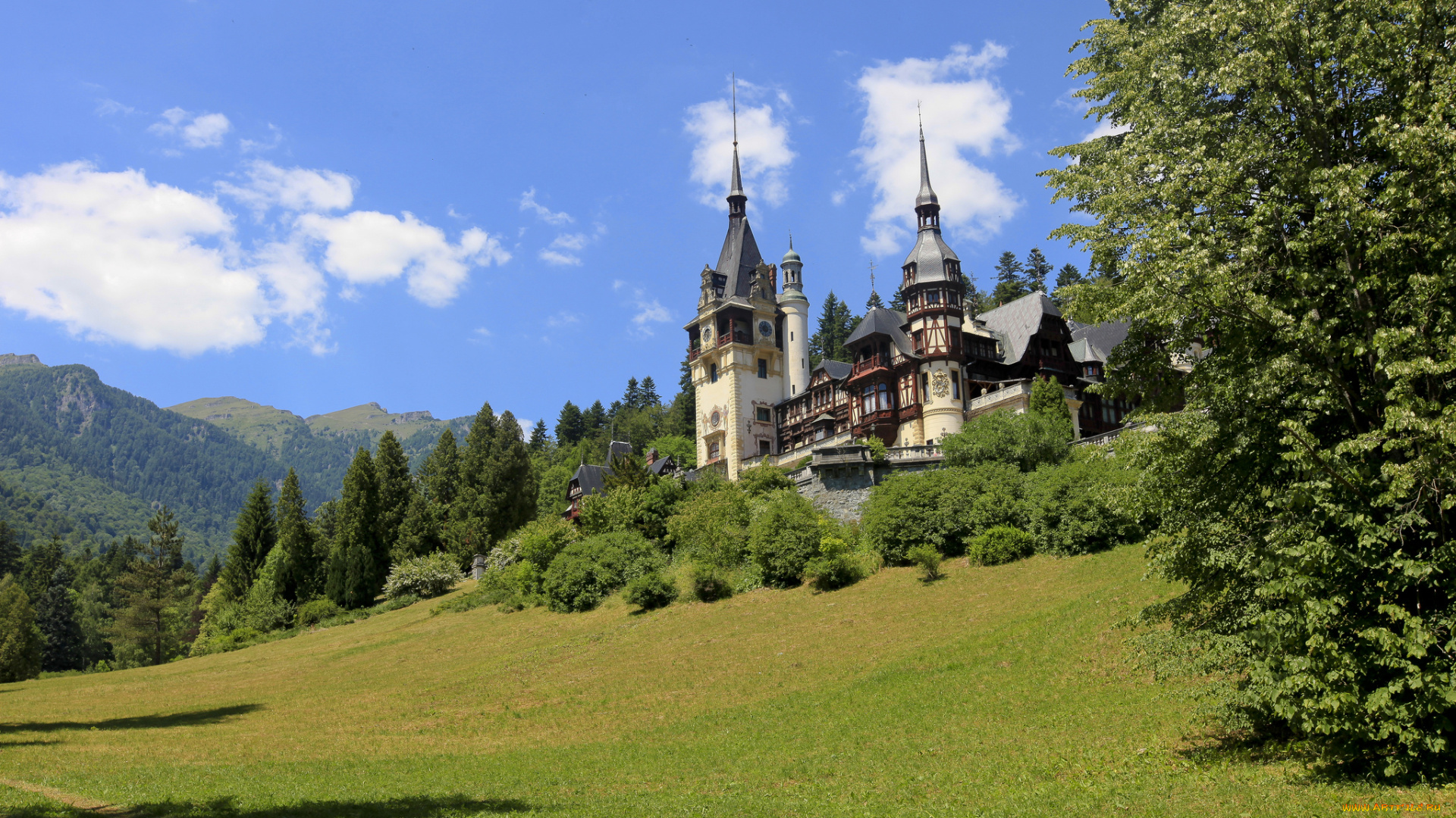 города, замок, пелеш, , румыния, замок, растительность, пригорок