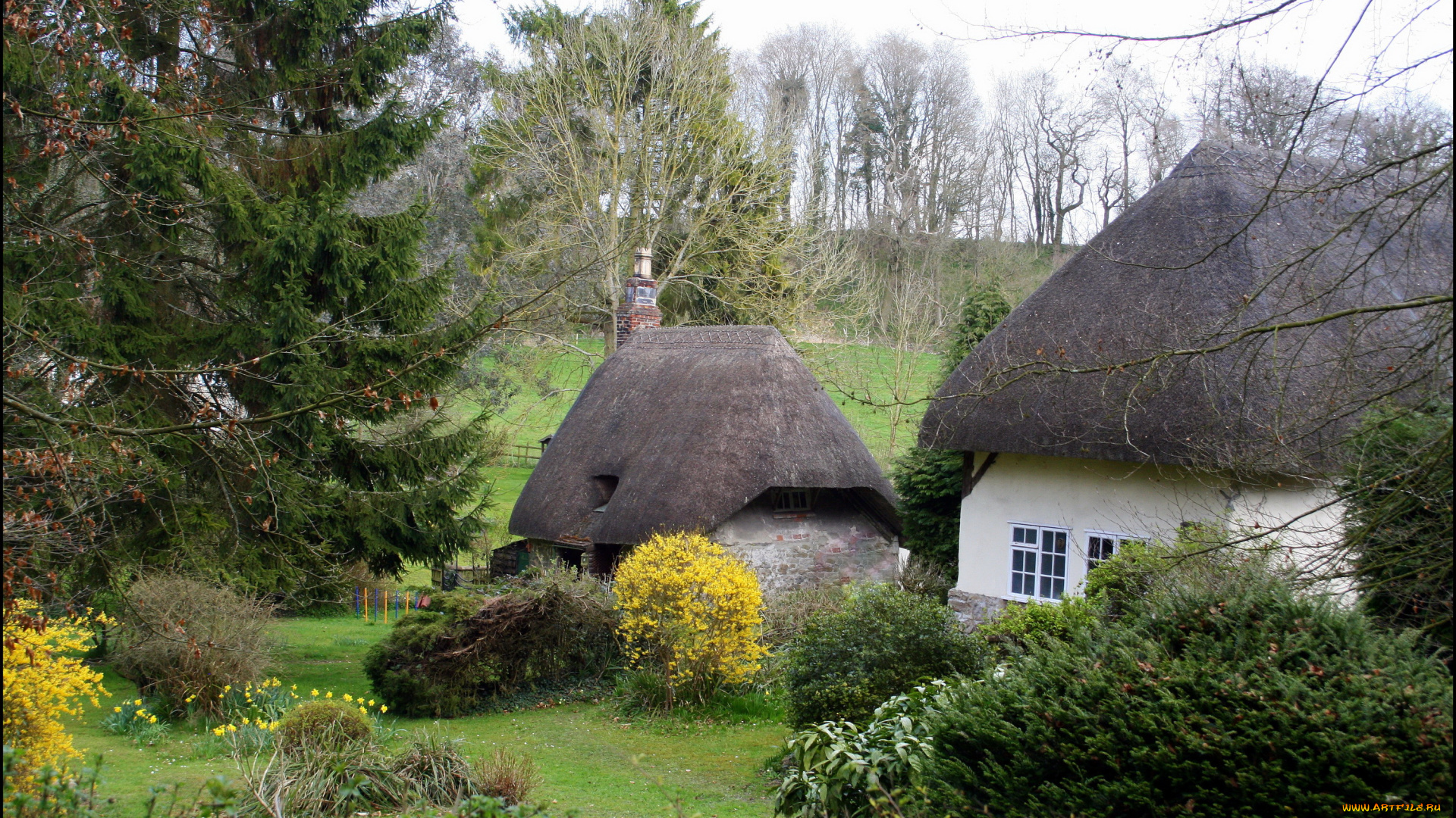 hodson, wiltshire, англия, города, -, пейзажи, кусты, деревья, англия, деревня, дома
