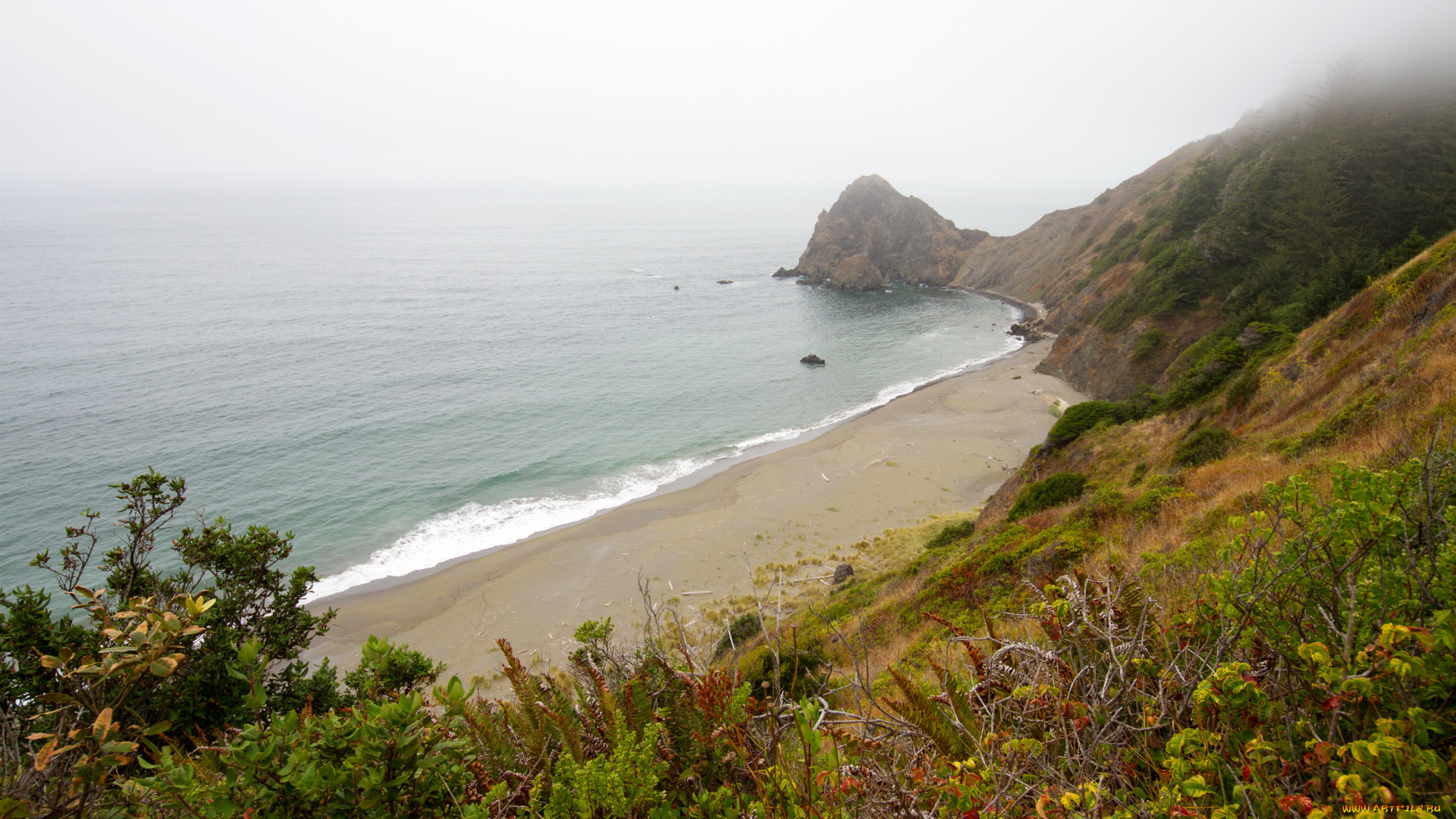 природа, побережье, океан, сша