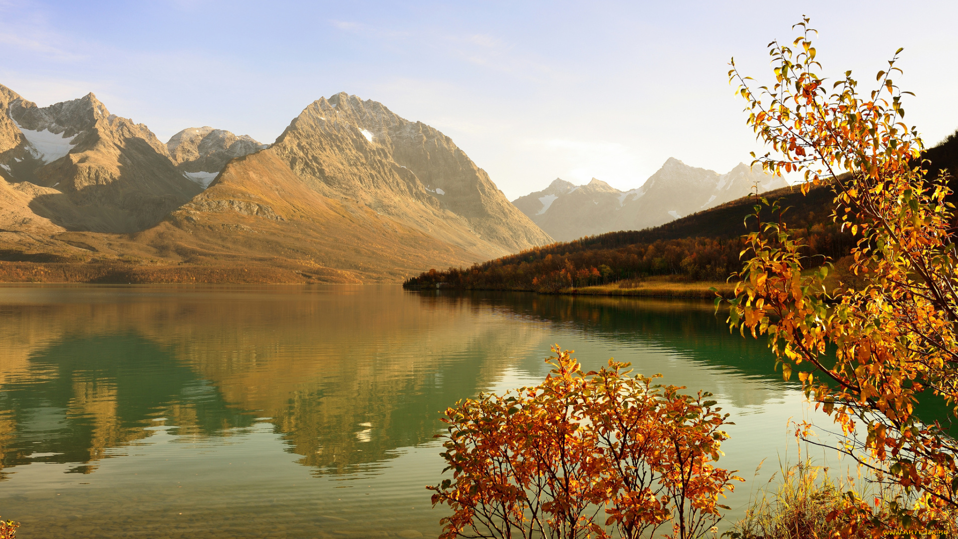 природа, реки, озера, озеро, осень, лес, дерево, кустарник, горы