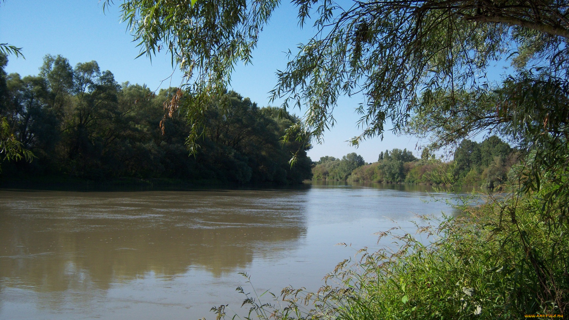 природа, реки, озера, река, деревья, небо
