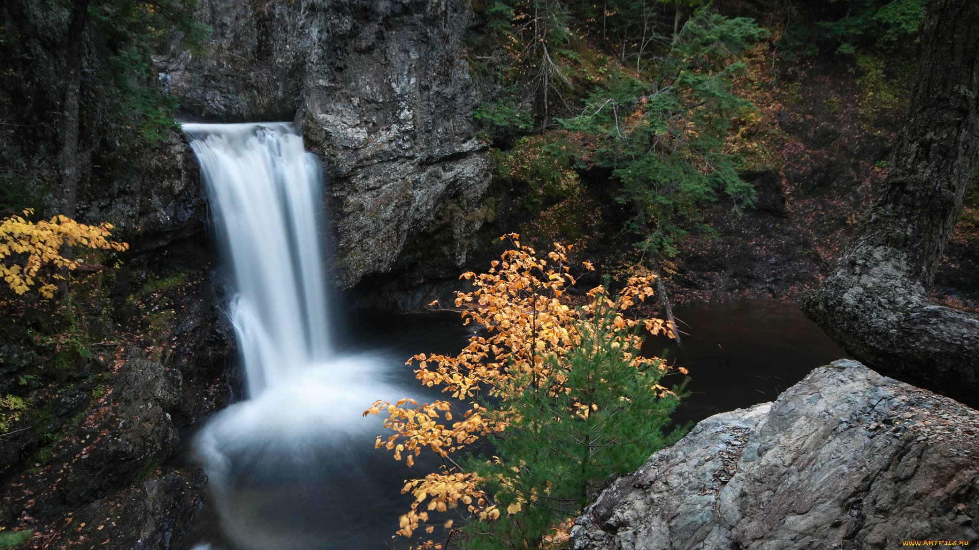 природа, водопады, лес, река, обрыв, водопад