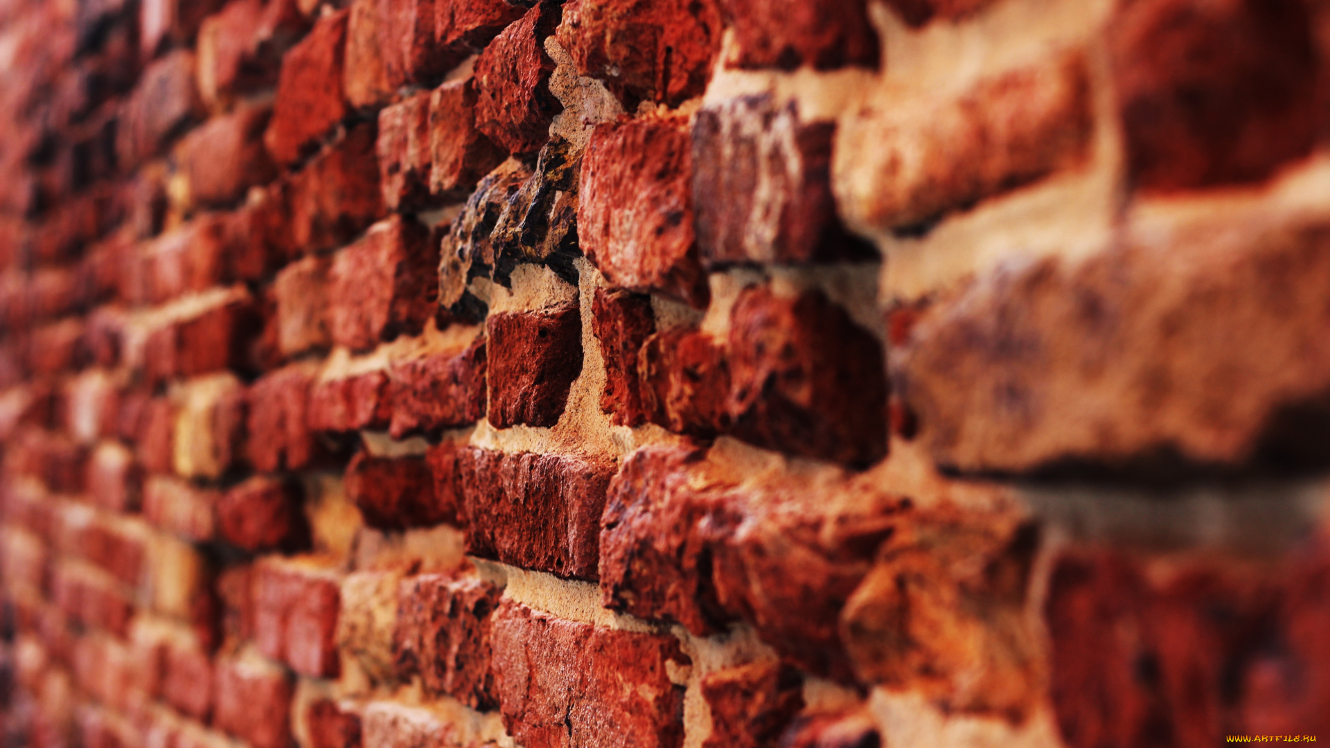 разное, текстуры, кирпич, стена