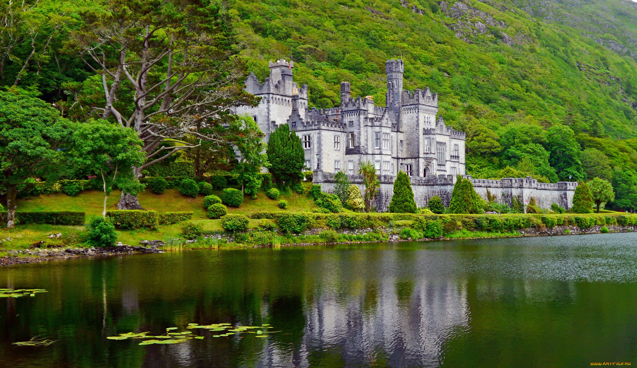 города, -, дворцы, , замки, , крепости, лес, река, горы, замок