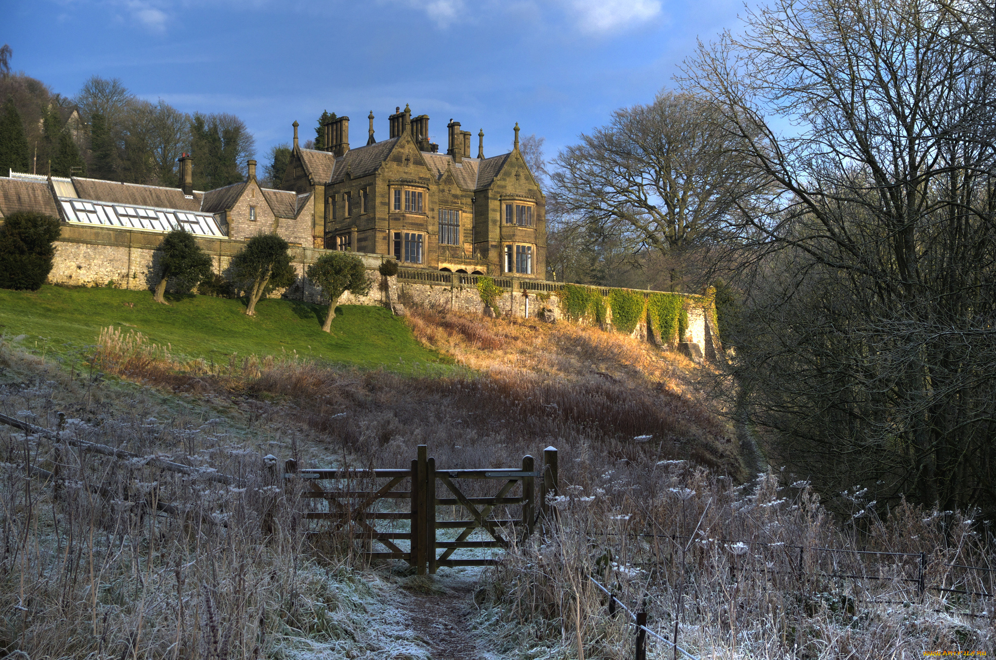 города, -, здания, , дома, особняк, старинный, лес, пригорок