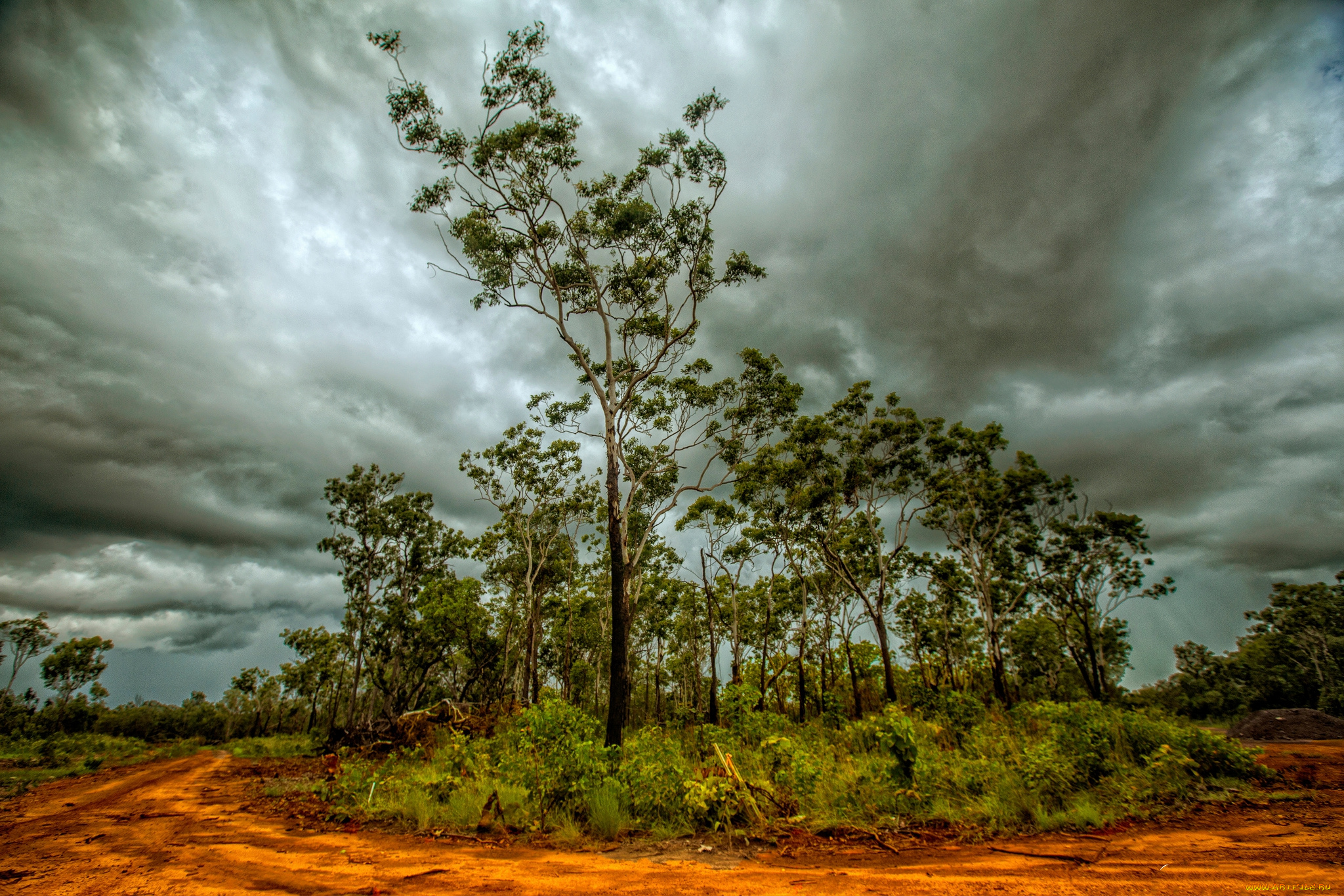 природа, деревья, кусты, тучи, дорога, грунт