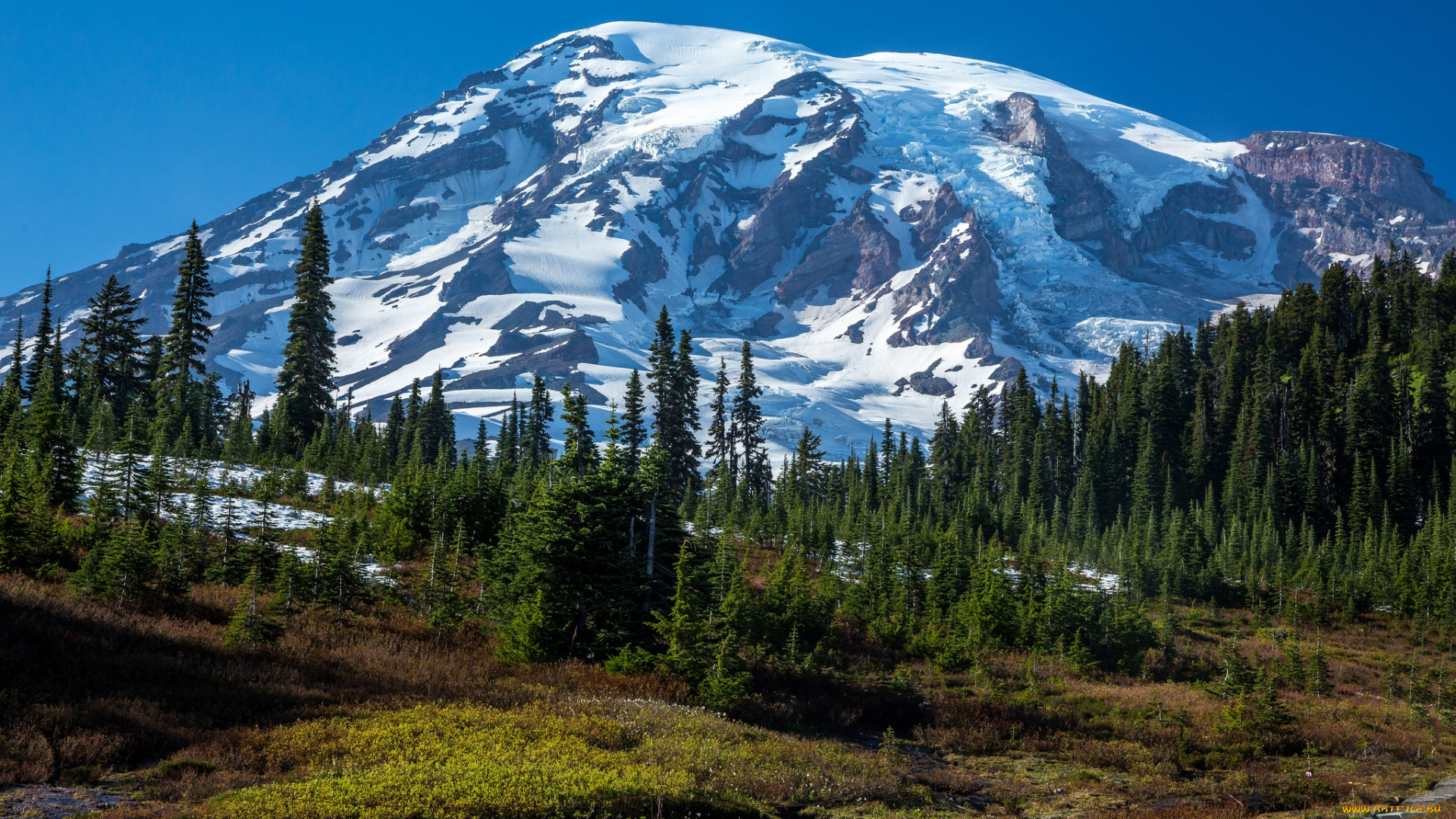 природа, горы, долина, лес