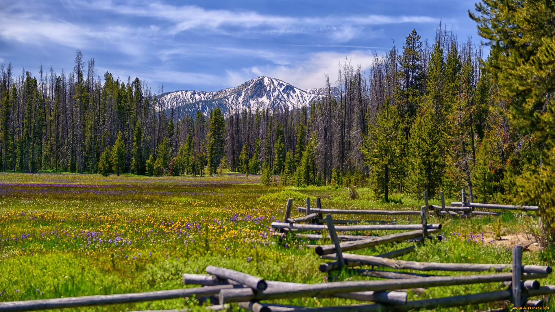 природа, луга, изгородь, луг, горы