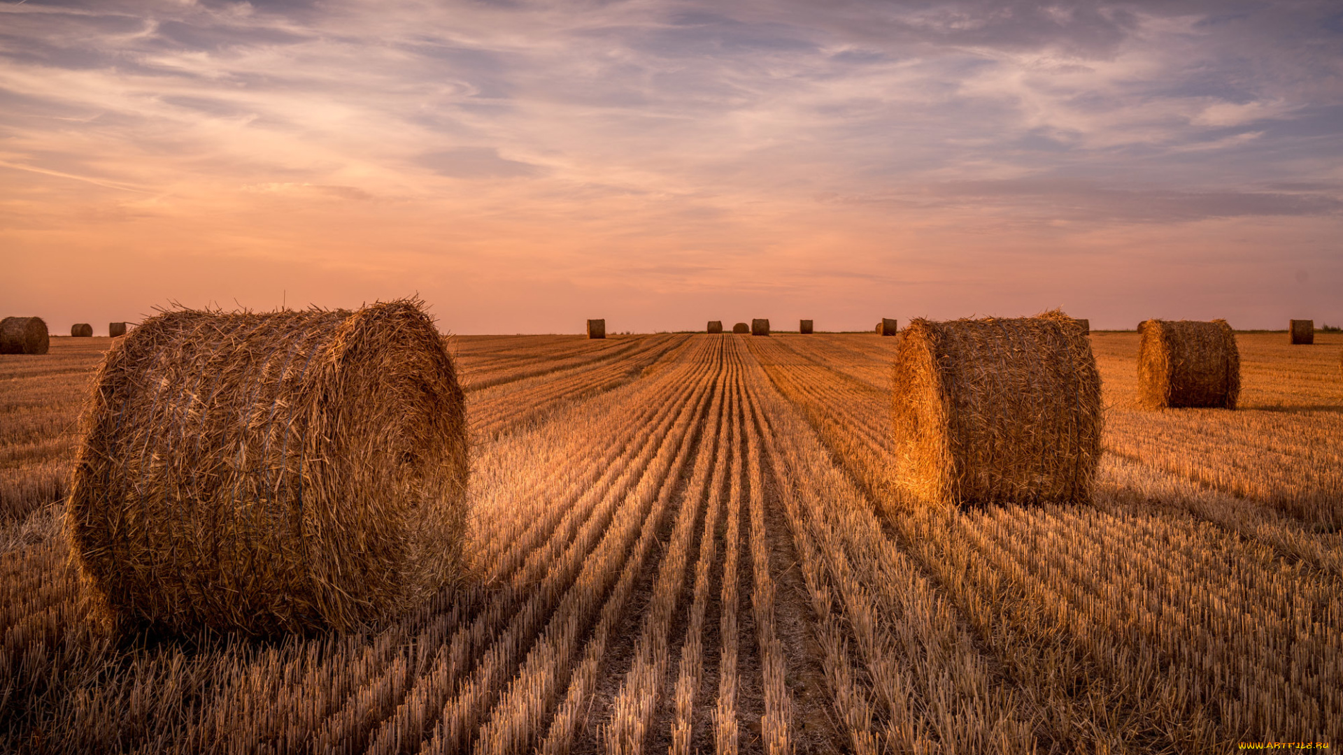 природа, поля, уборка, урожая, поле, жнивьё, рулоны, стерня