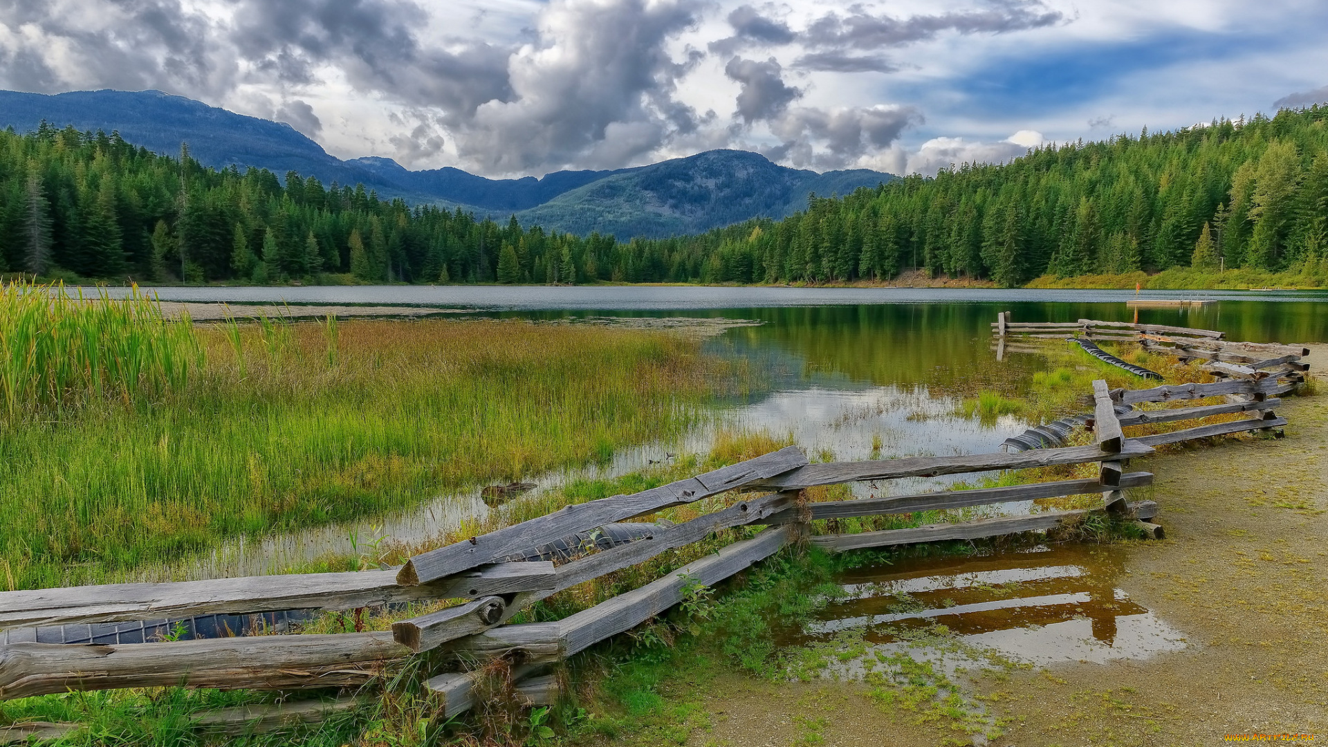 природа, реки, озера, река, лес, горы