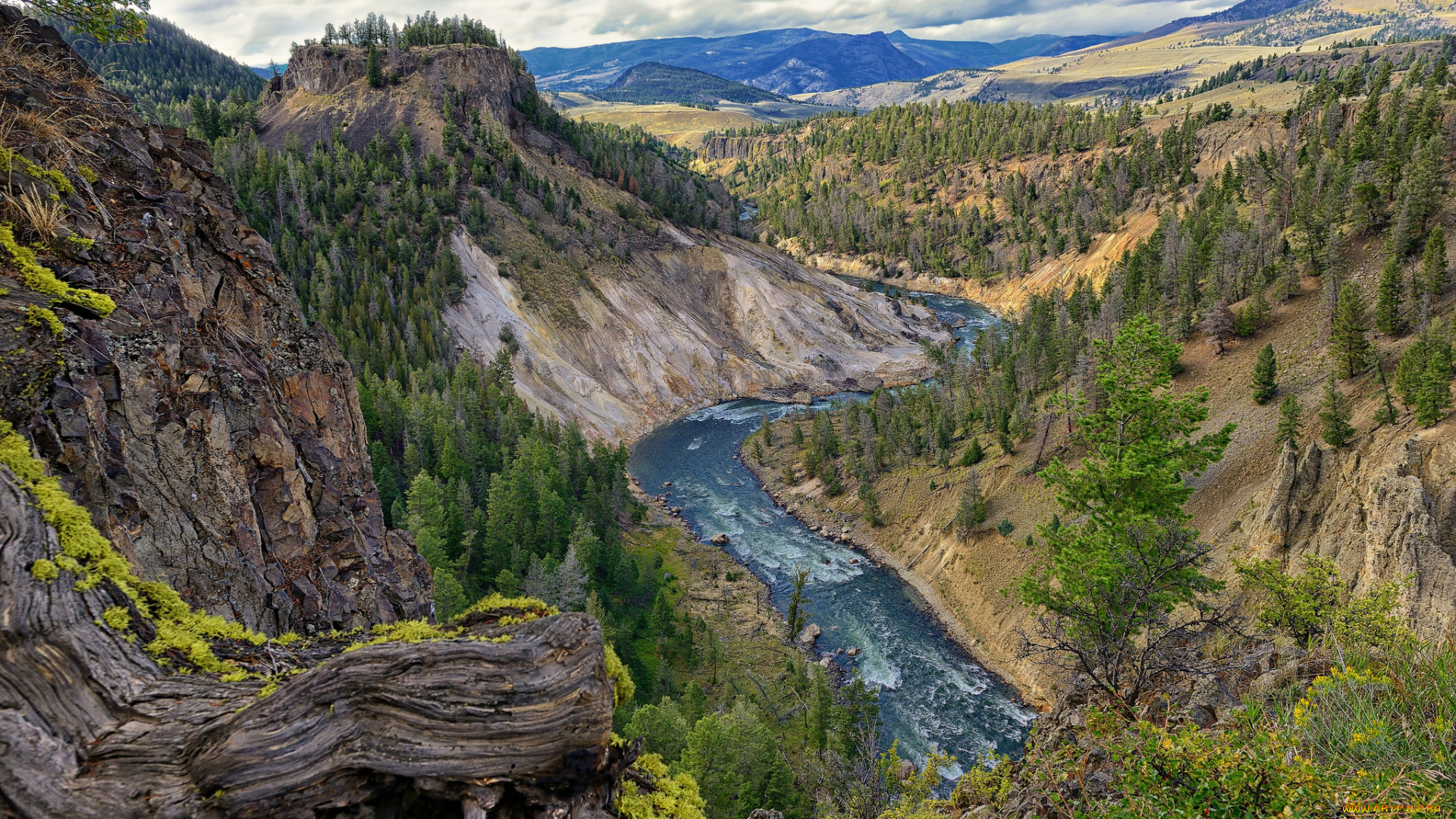 природа, реки, озера, река, лес, горы