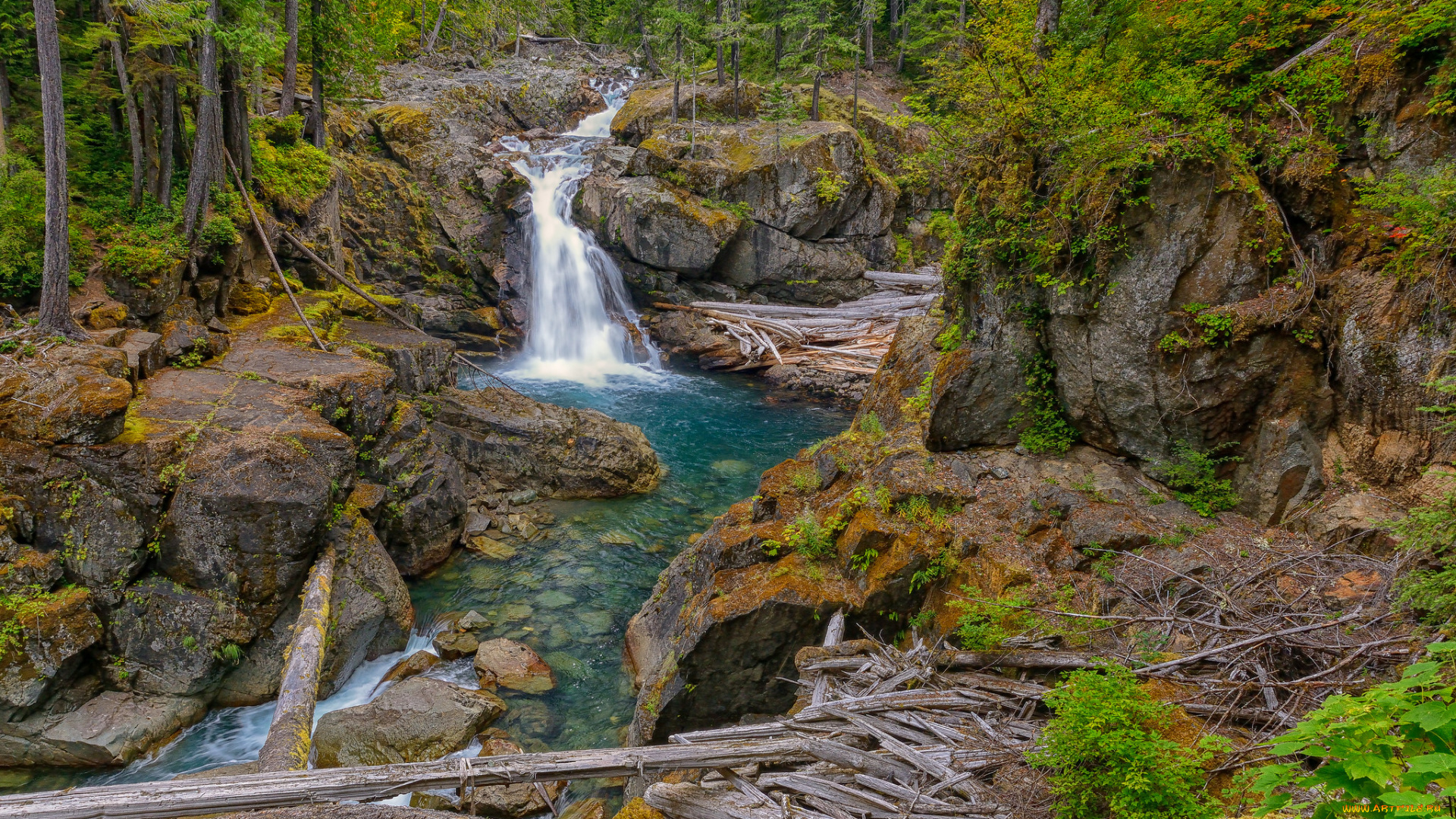 природа, водопады, водопад, река, лес