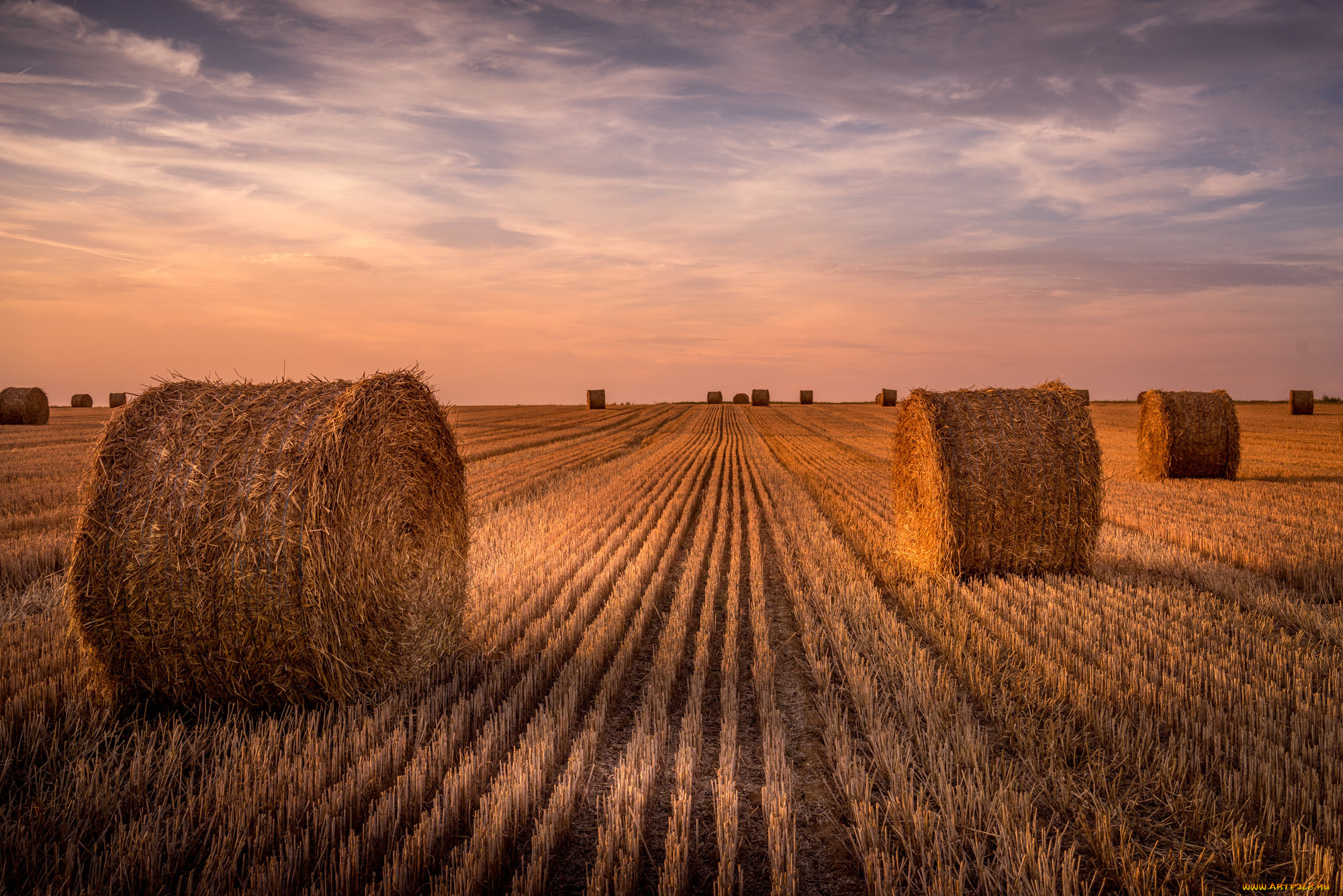 природа, поля, уборка, урожая, поле, жнивьё, рулоны, стерня
