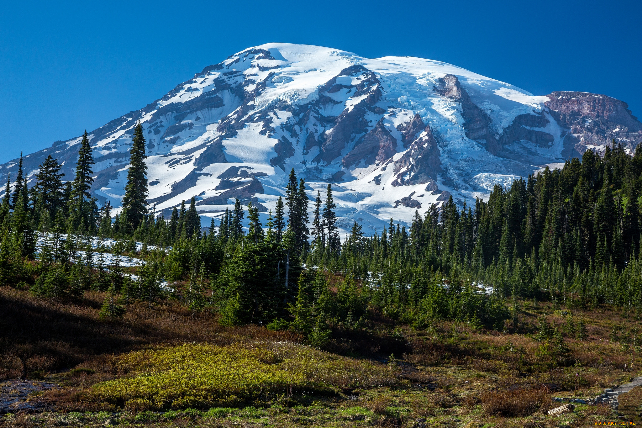 природа, горы, долина, лес