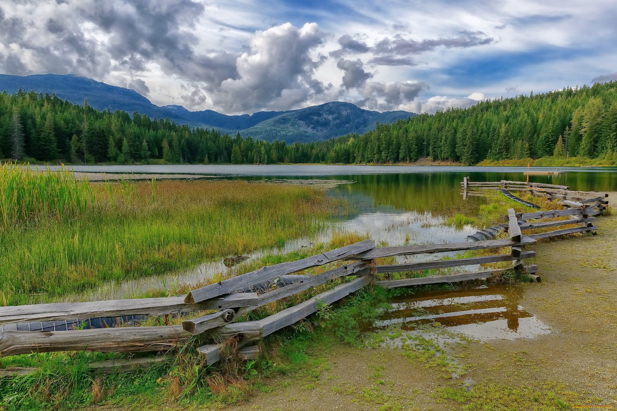 природа, реки, озера, река, лес, горы