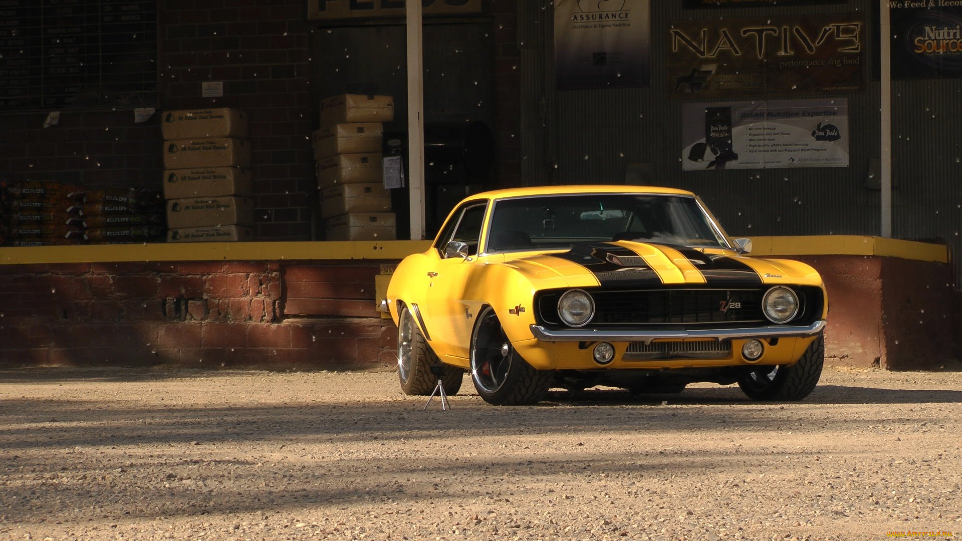 автомобили, camaro, yellow